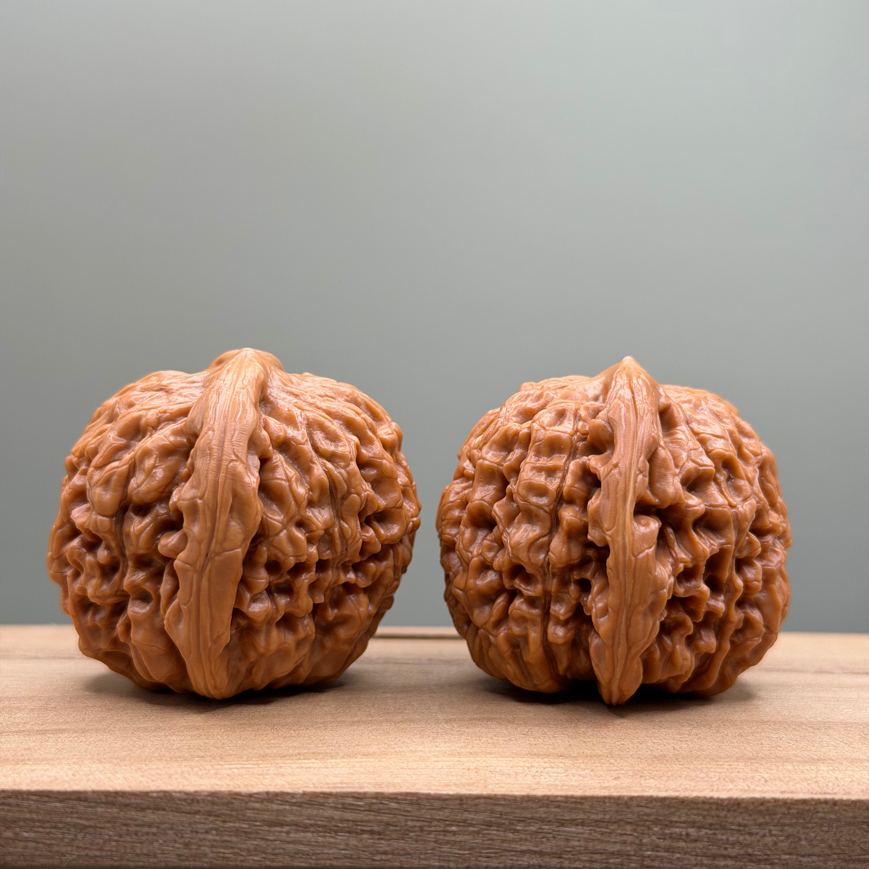 Lotus Tiger Head Walnut
