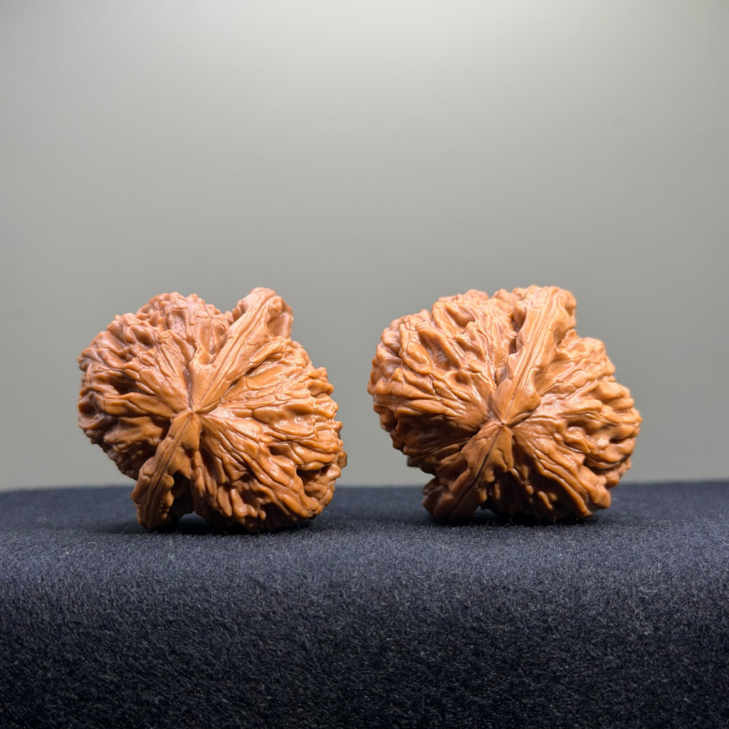 White Lion Wenwan Walnut · 39mm · Entry Ritual