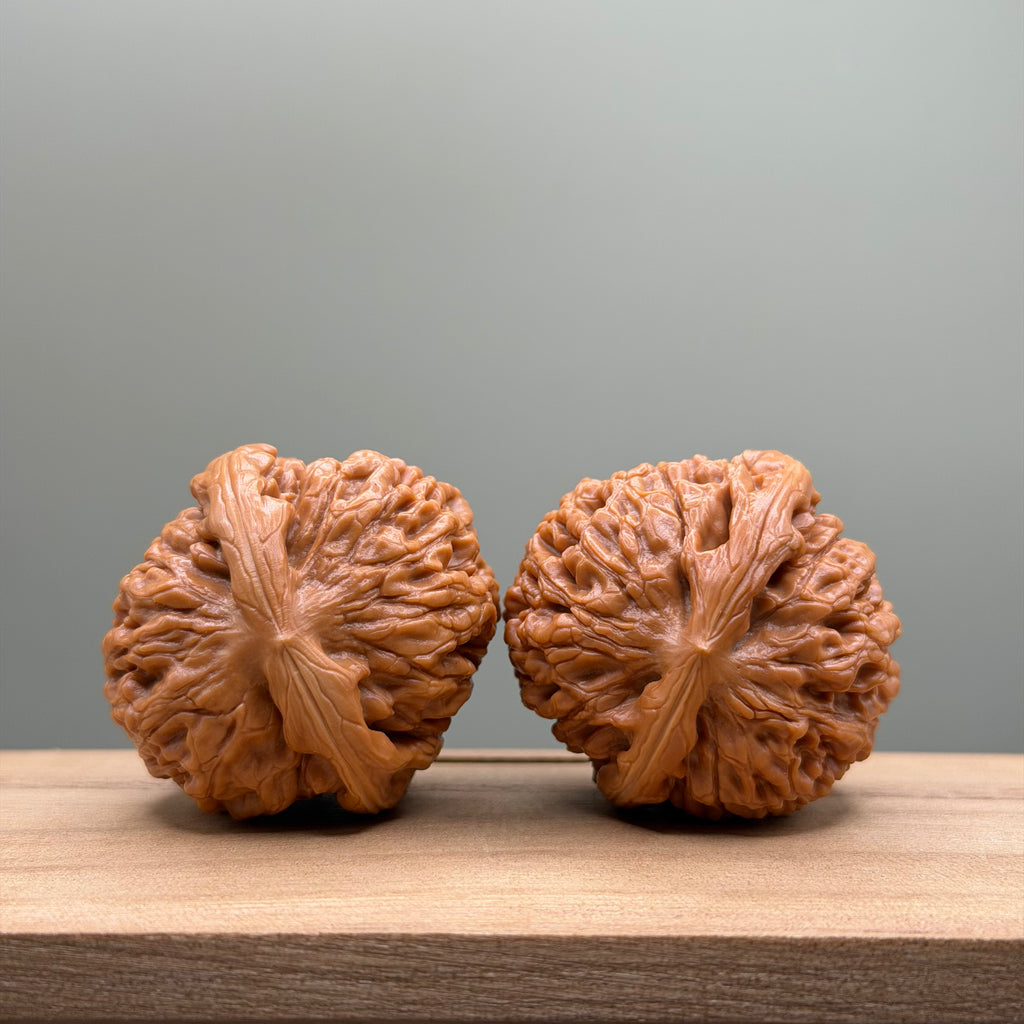 Lotus Tiger Head Walnut