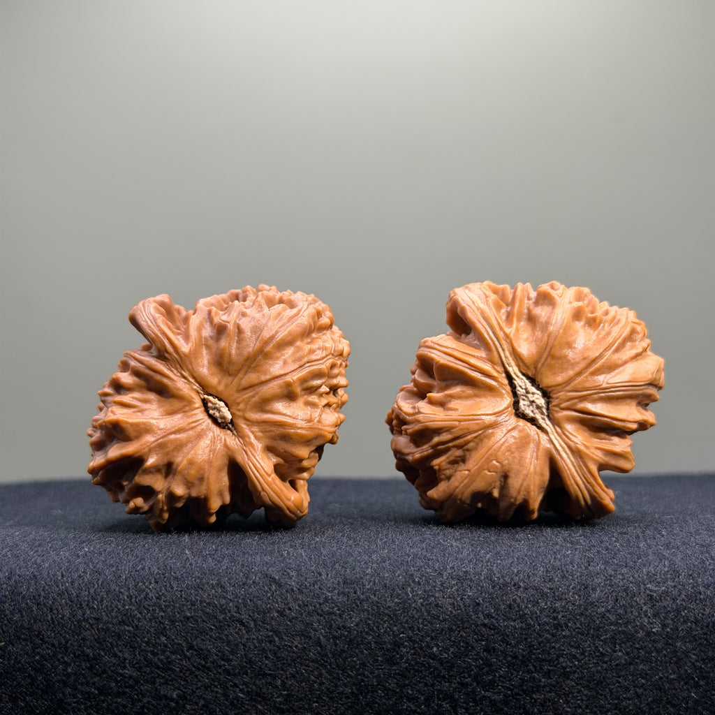 White Lion Wenwan Walnut · 39mm · Entry Ritual