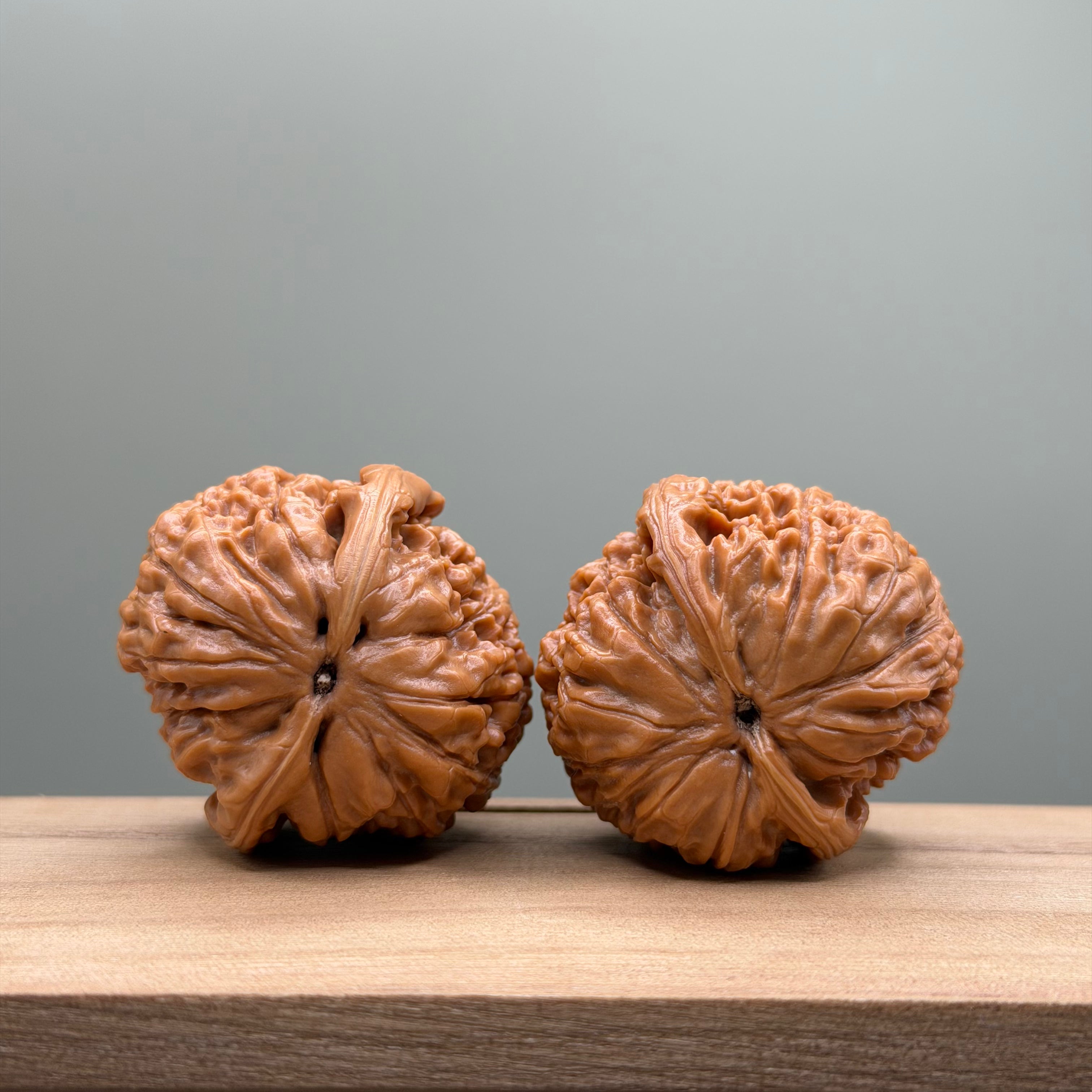 Lotus Tiger Head Walnut