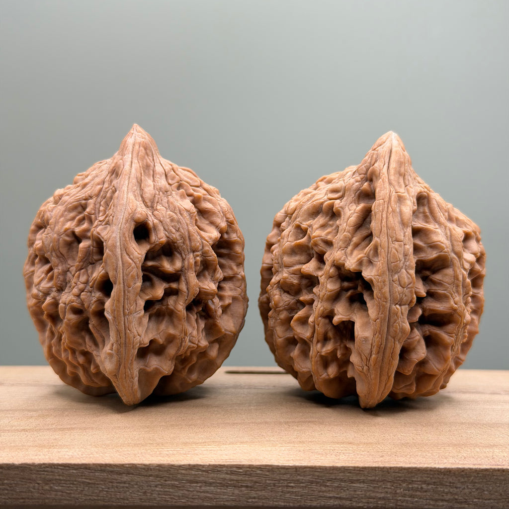 Dagushi Chicken Heart Walnut