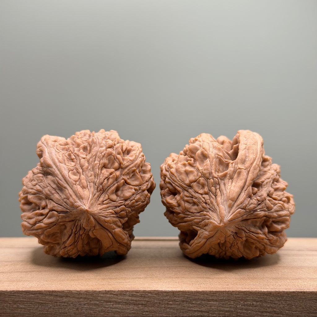 Dagushi Chicken Heart Walnut