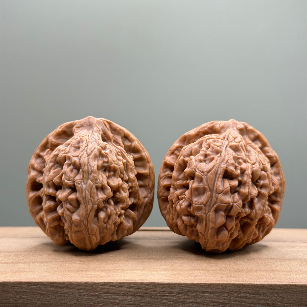 Xuanwu Lion Head Walnut
