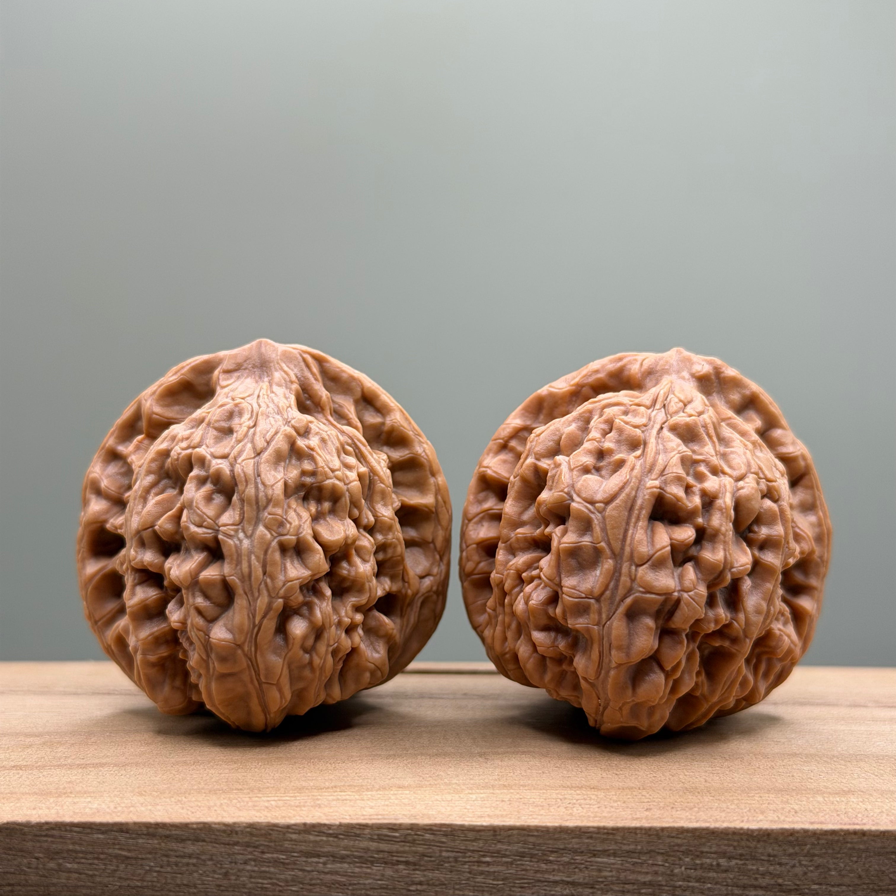 Xuanwu Lion Head Walnut