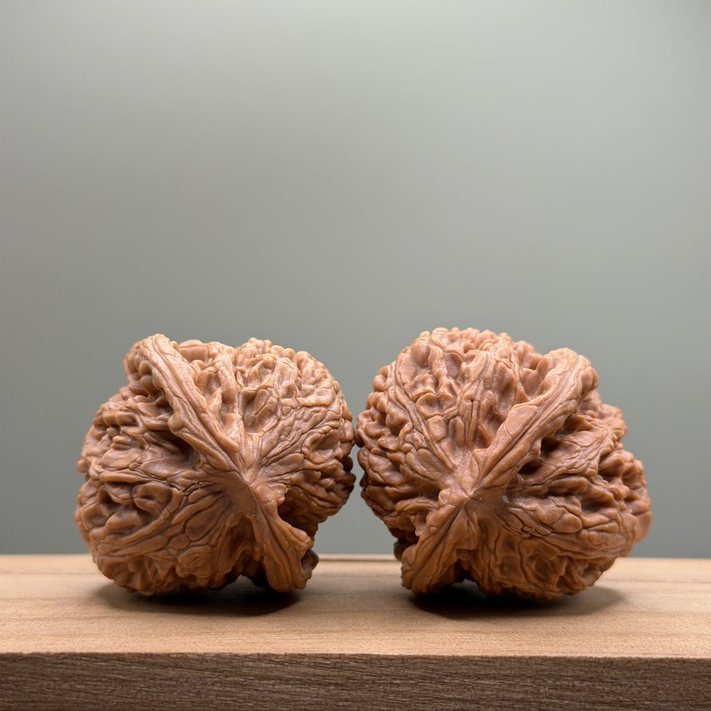 Xuanwu Lion Head Walnut