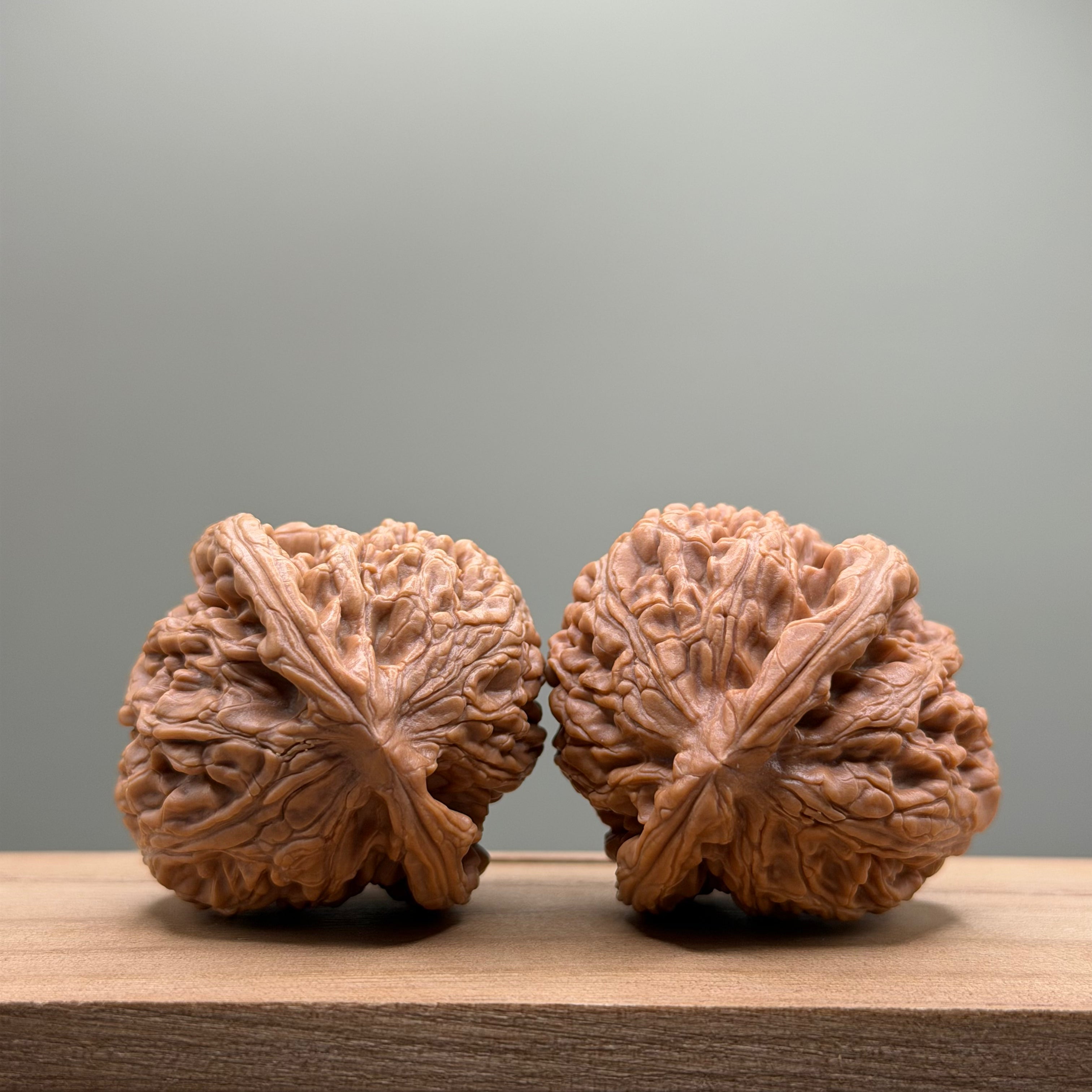 Xuanwu Lion Head Walnut