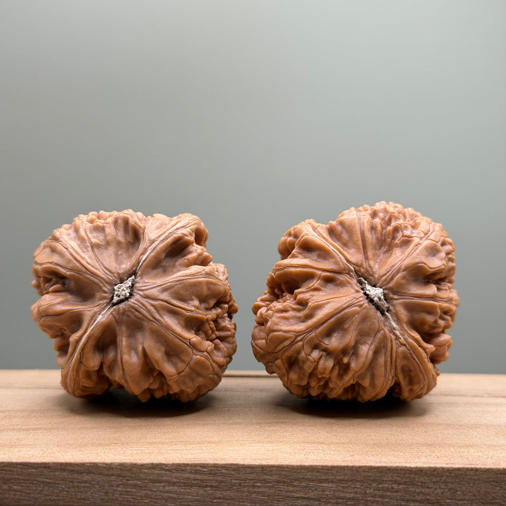Xuanwu Lion Head Walnut