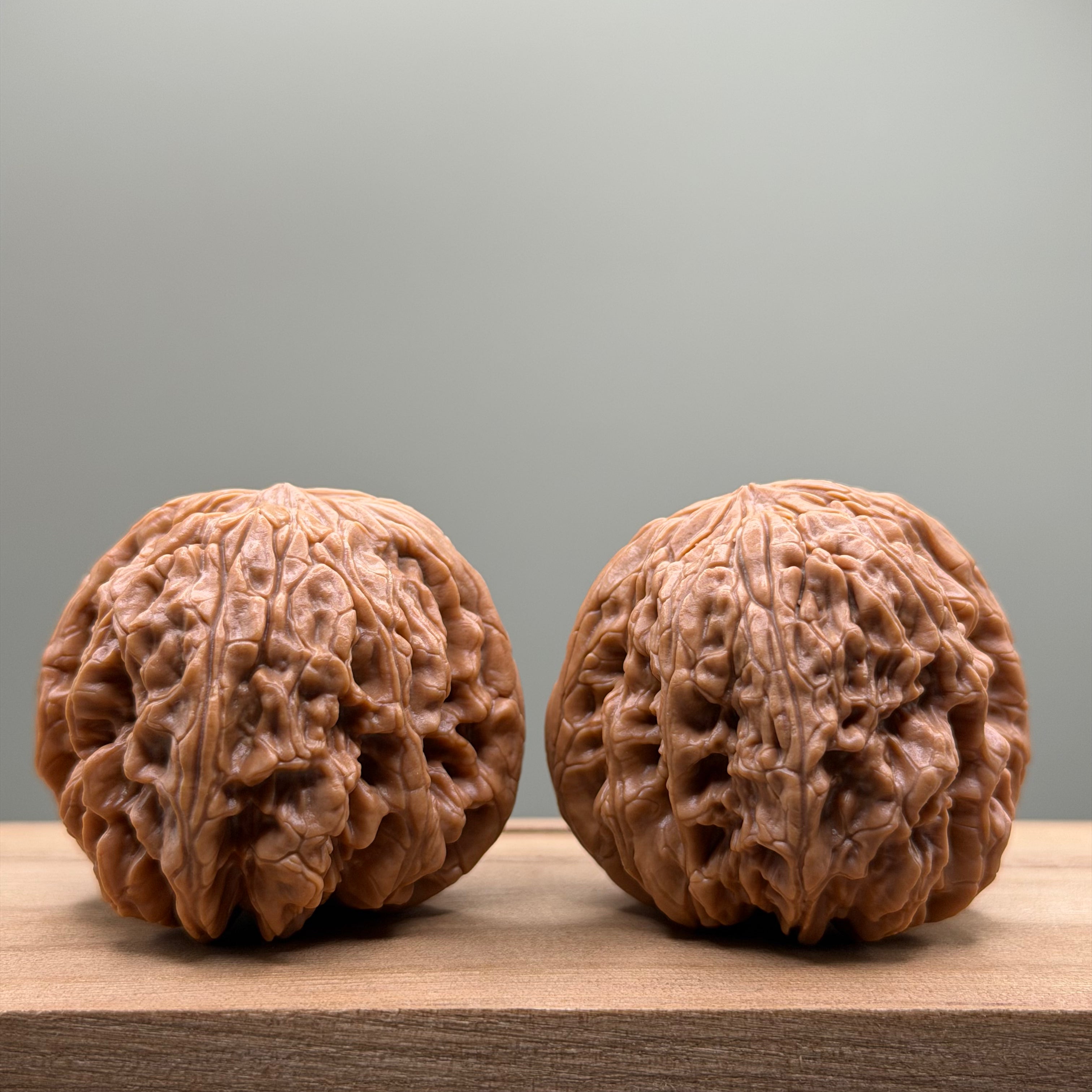 Blizzard Lion Head Walnut