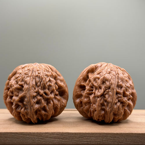 Blizzard Lion Head Walnut