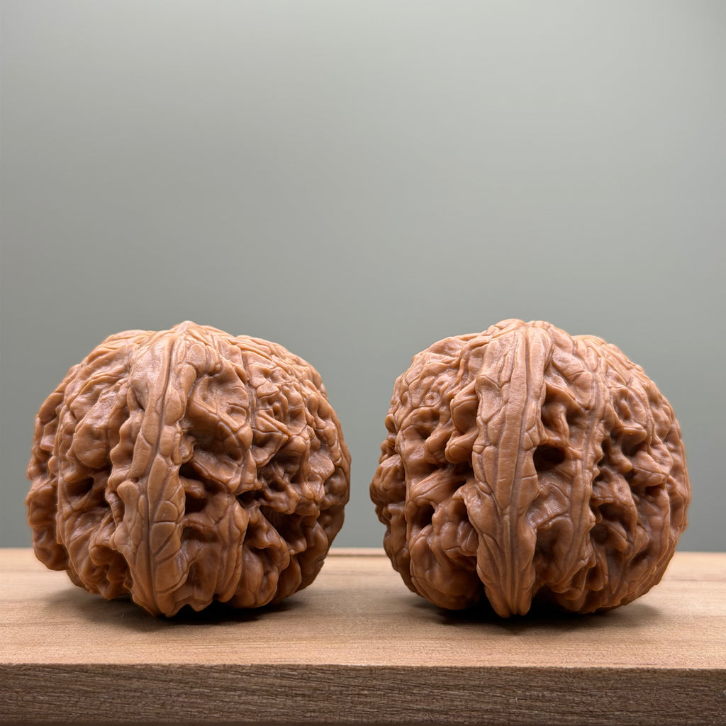 Blizzard Lion Head Walnut