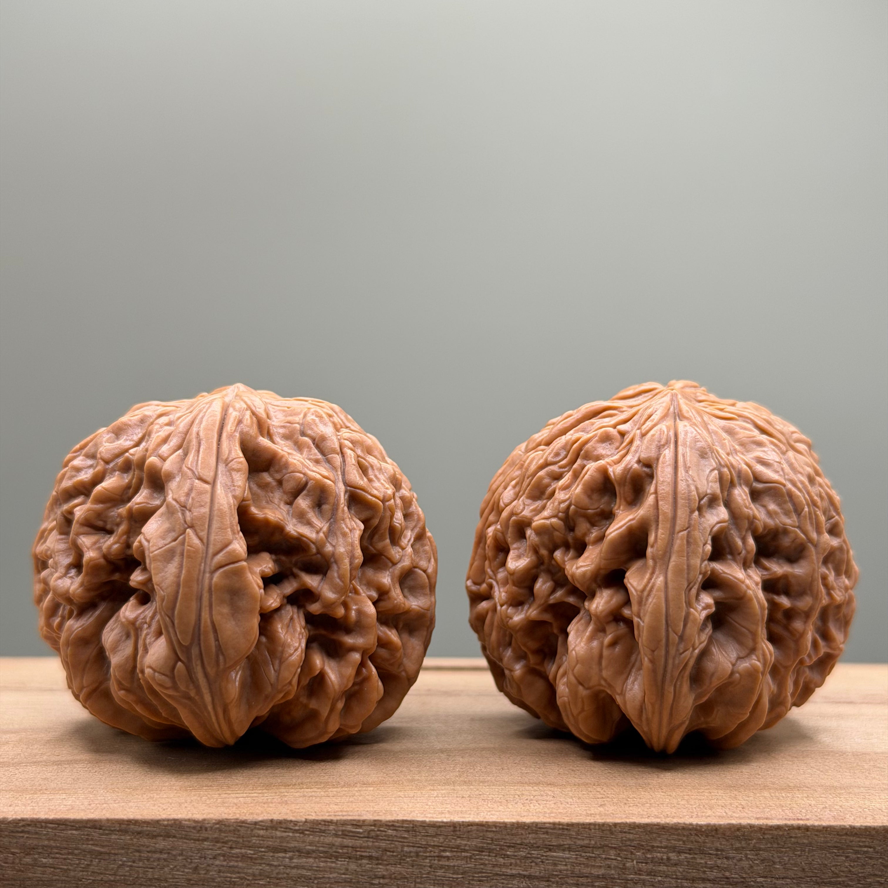 Blizzard Lion Head Walnut