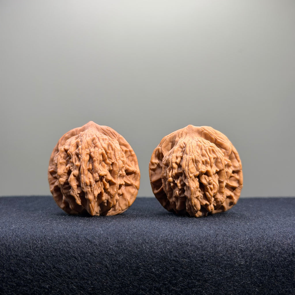 Wheat Ear Tiger Head Wenwan Walnut · 35mm · Natural · Entry Ritual