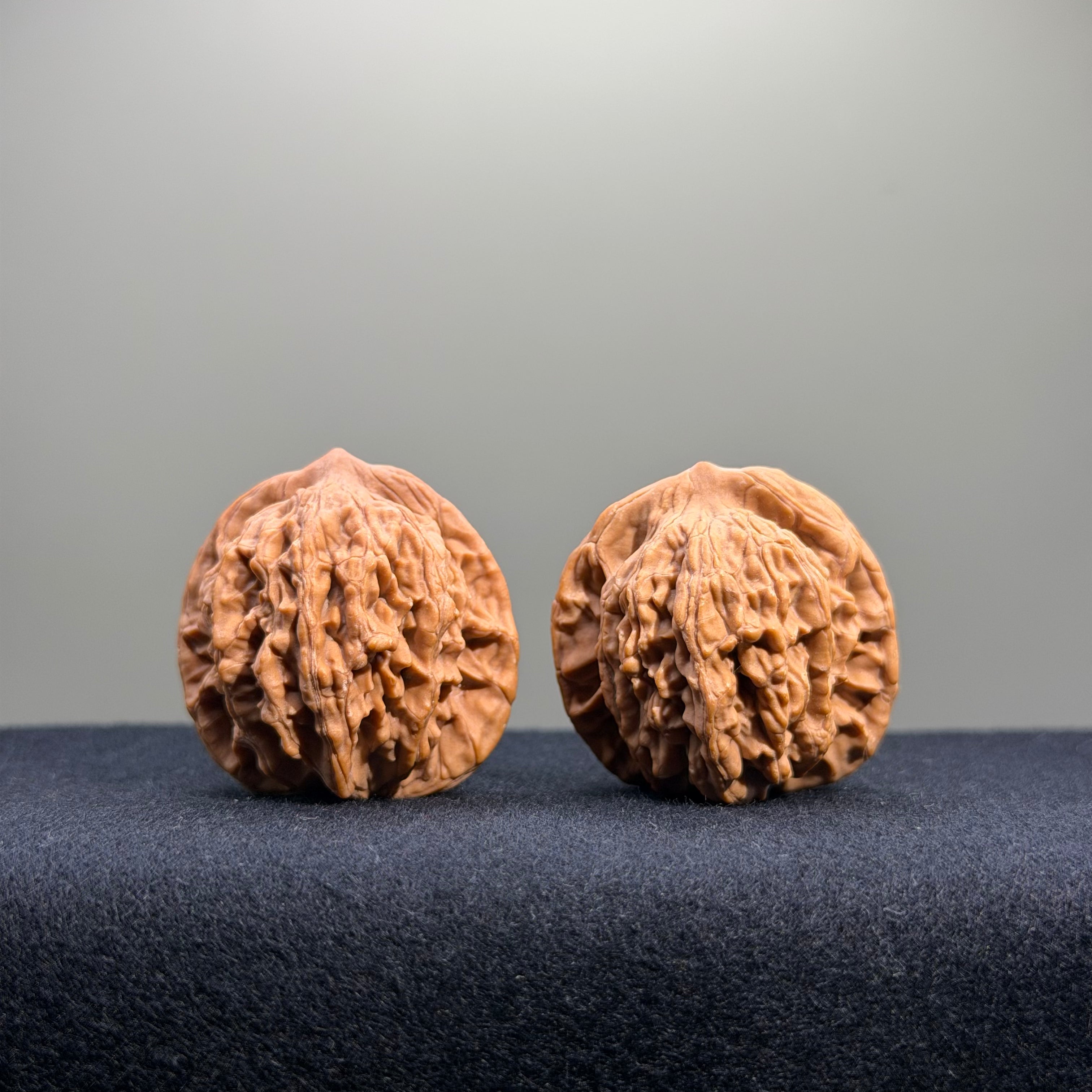 Wheat Ear Tiger Head Wenwan Walnut · 35mm · Natural · Entry Ritual
