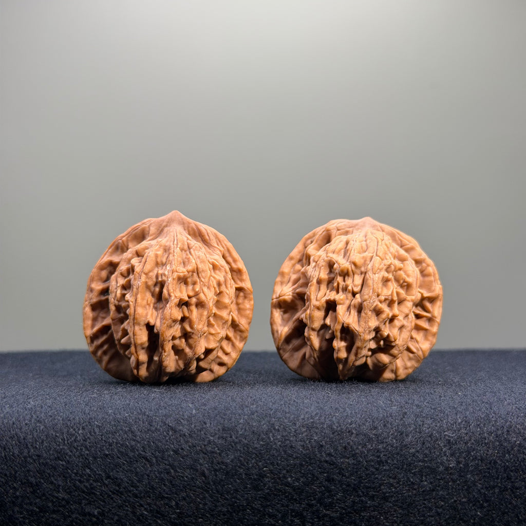 Wheat Ear Tiger Head Wenwan Walnut · 35mm · Natural · Entry Ritual