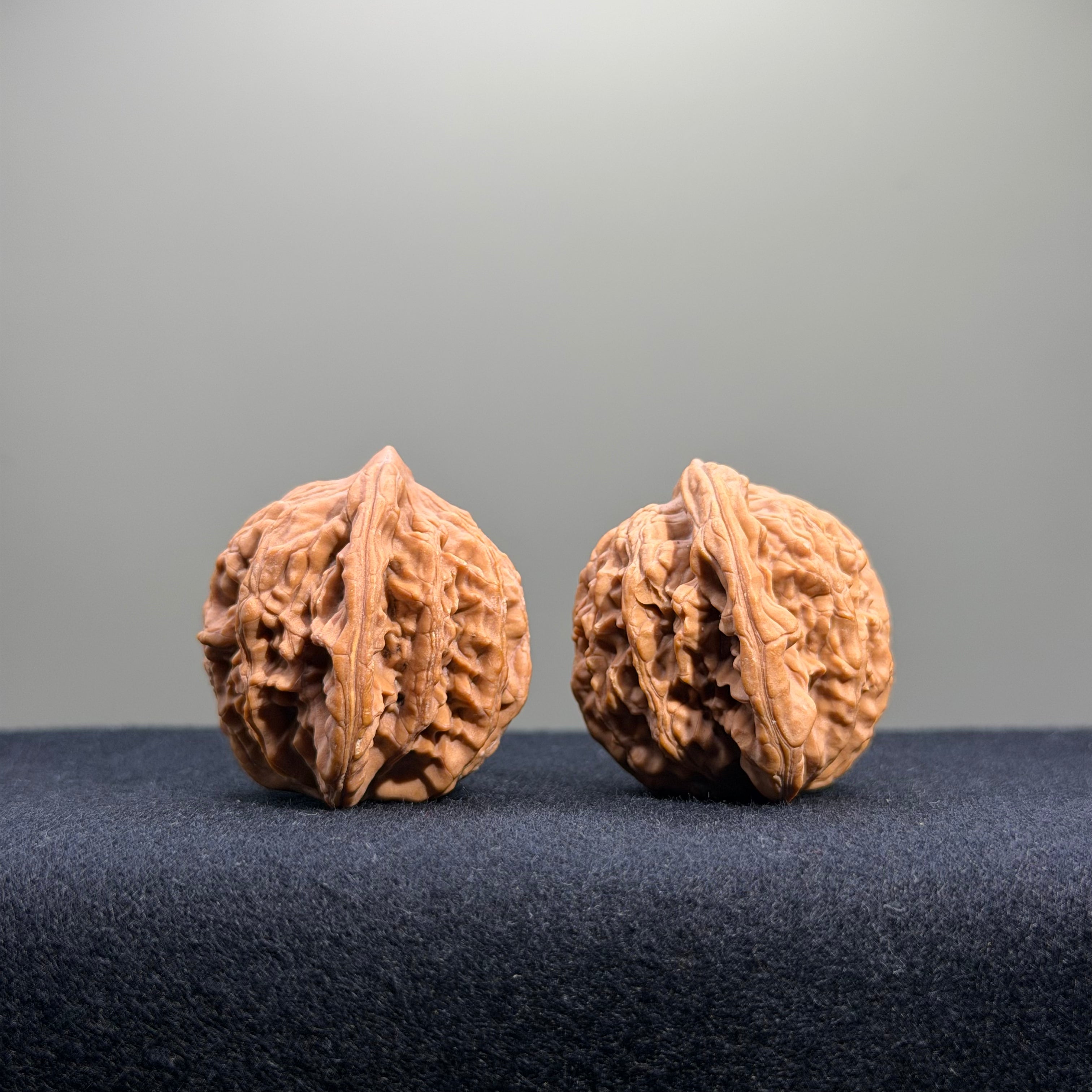 Wheat Ear Tiger Head Wenwan Walnut · 35mm · Natural · Entry Ritual