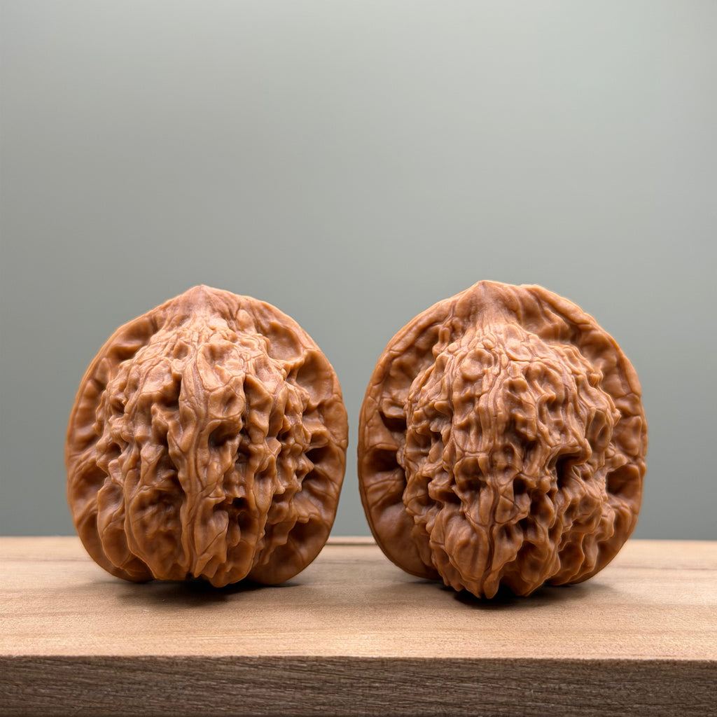 Red Lion Head Walnut
