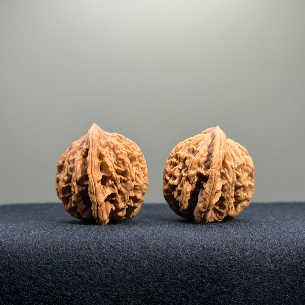 Wheat Ear Tiger Head Wenwan Walnut · 35mm · Natural · Entry Ritual