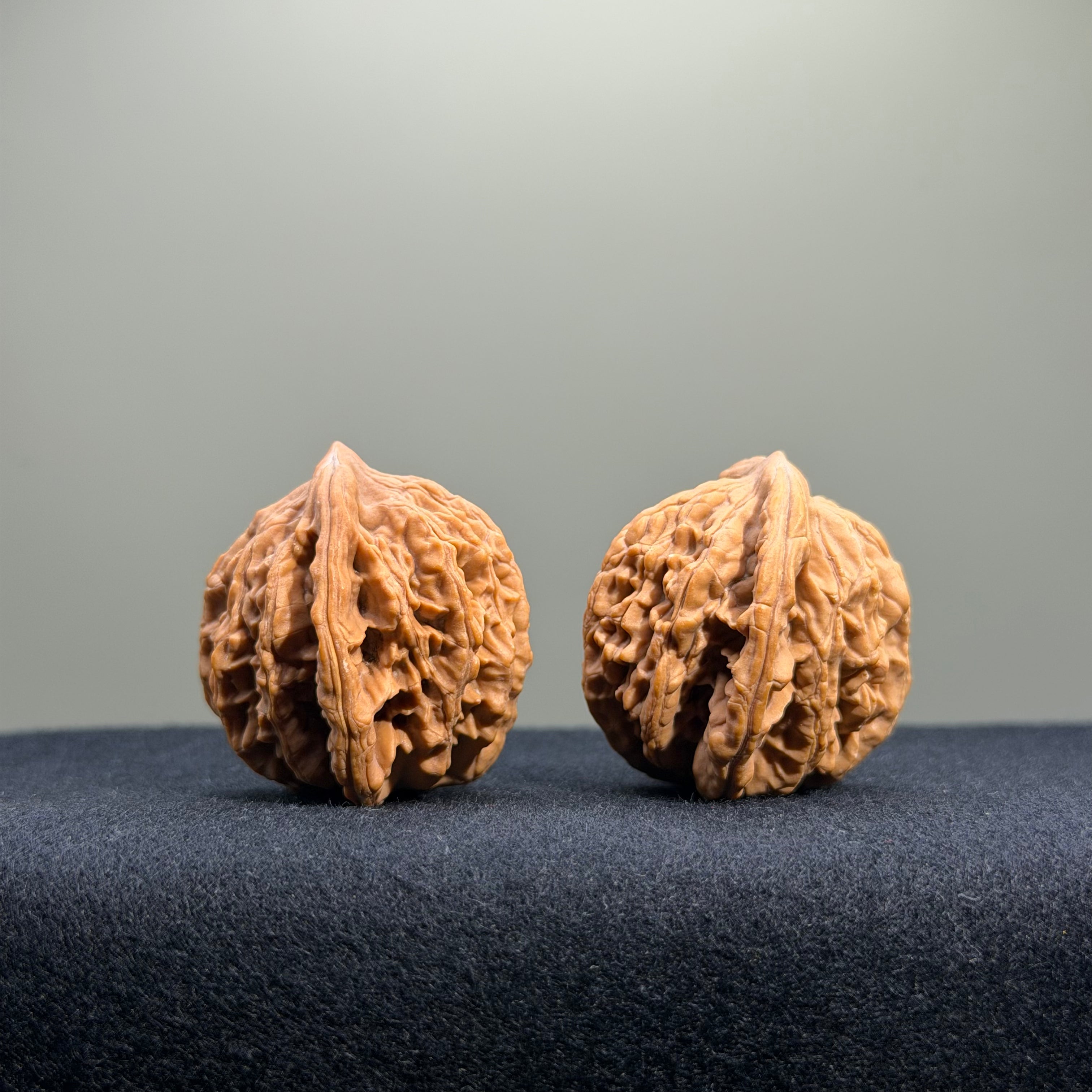 Wheat Ear Tiger Head Wenwan Walnut · 35mm · Natural · Entry Ritual