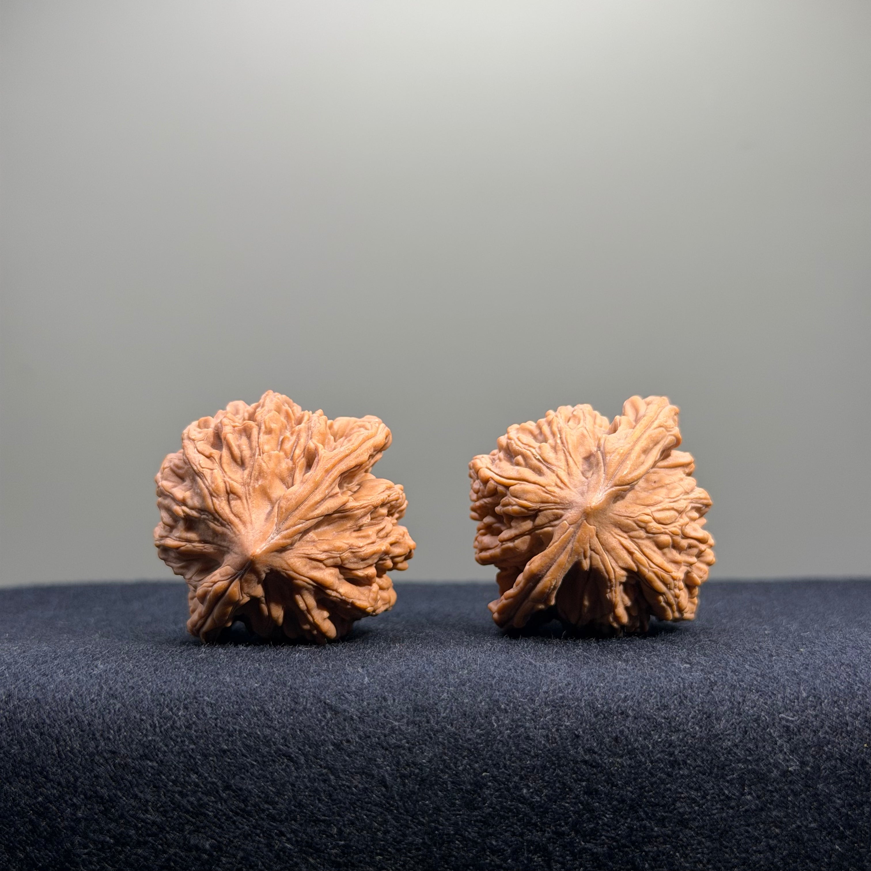 Wheat Ear Tiger Head Wenwan Walnut · 35mm · Natural · Entry Ritual