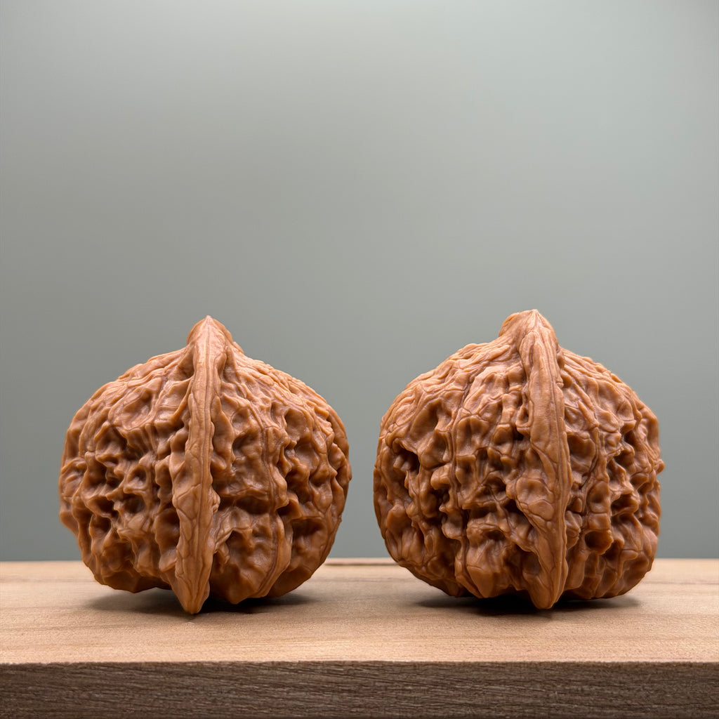 Red Lion Head Walnut