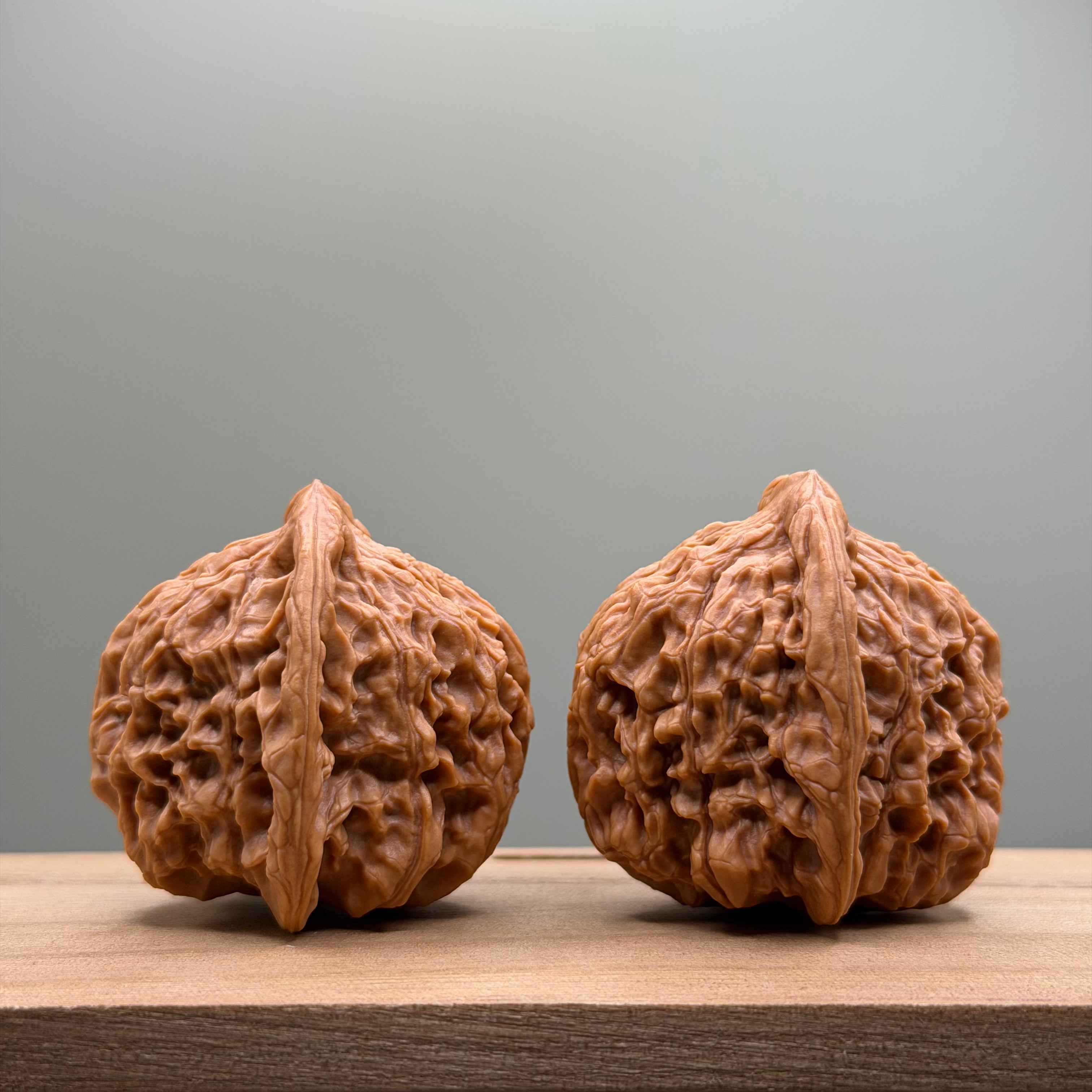 Red Lion Head Walnut