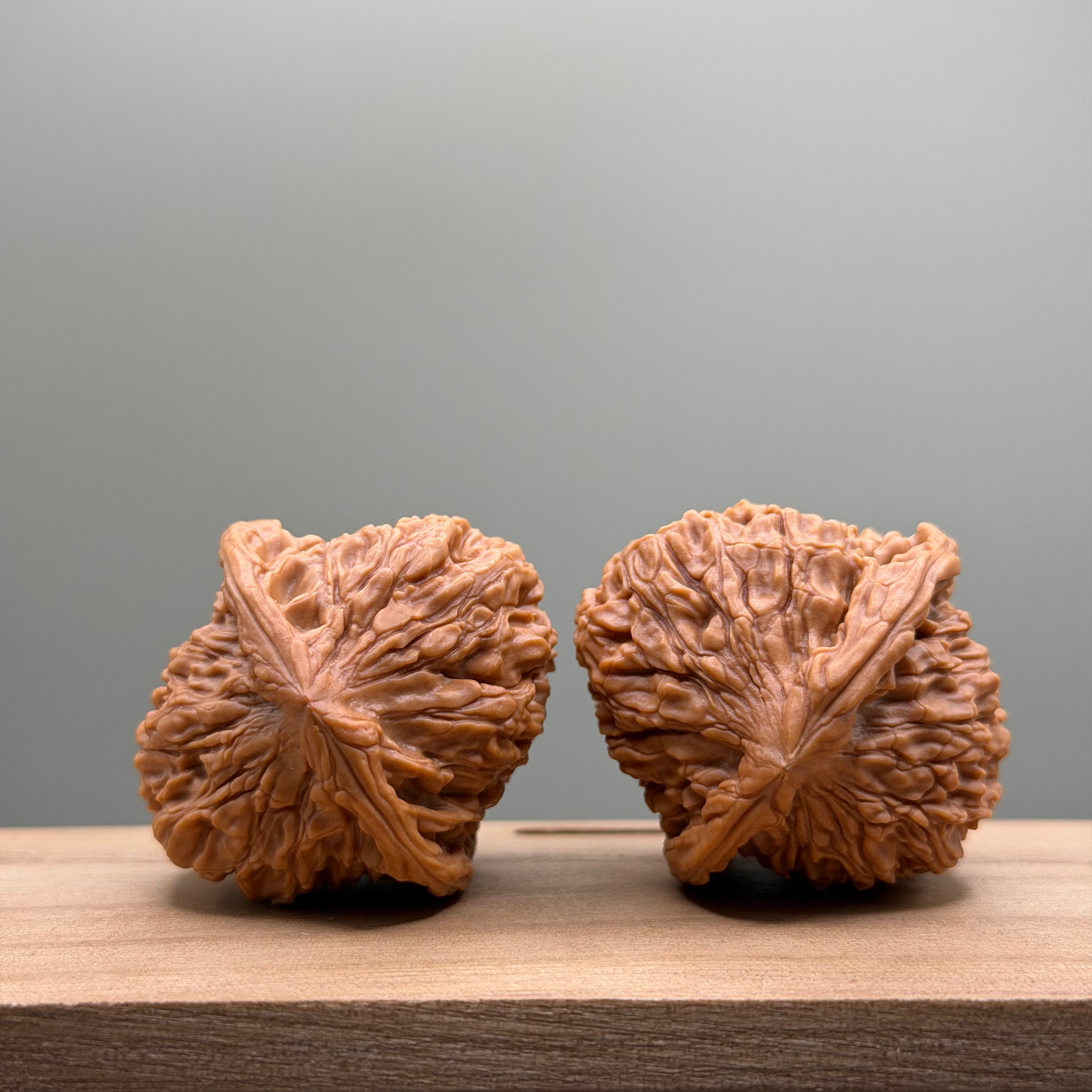 Red Lion Head Walnut