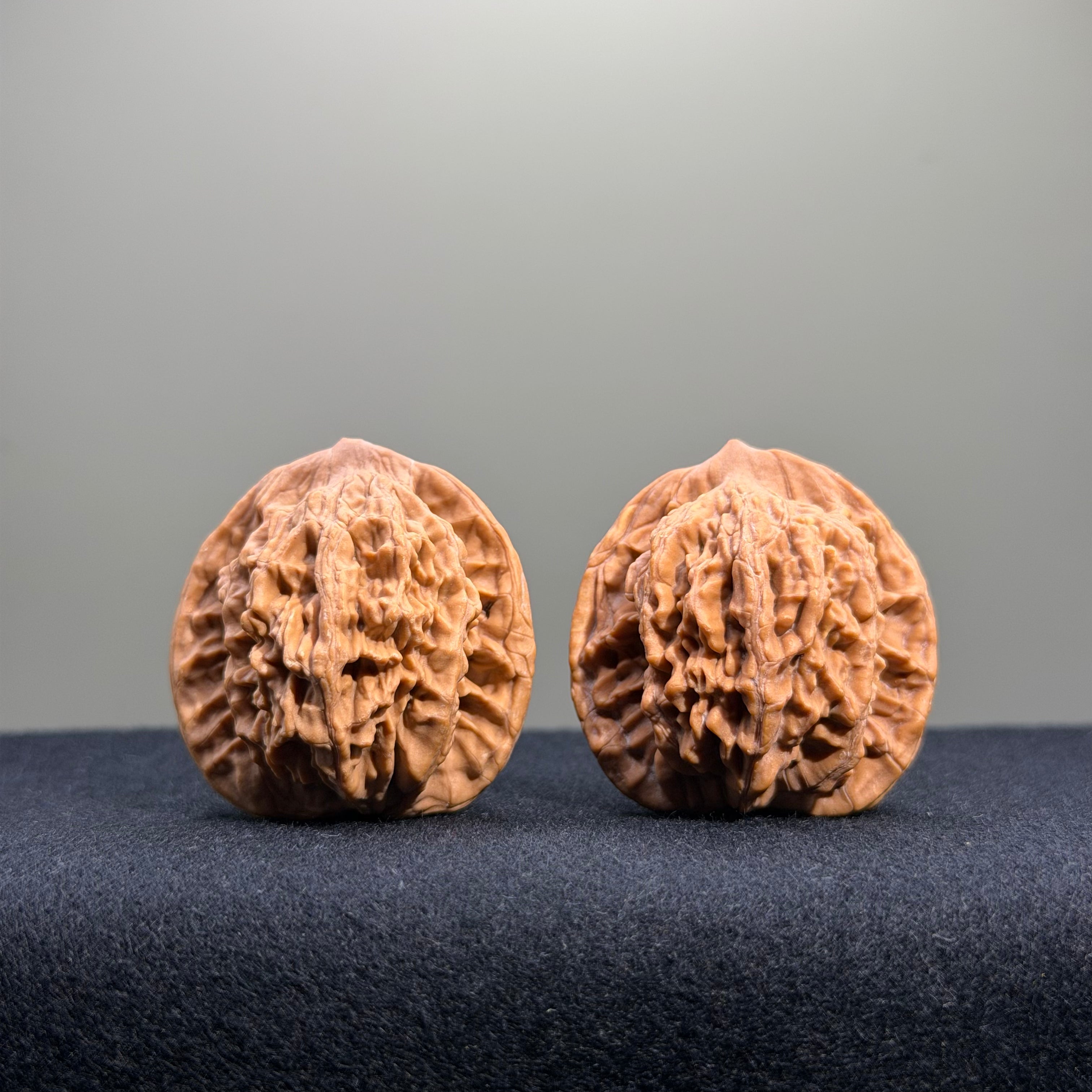 Wheat Ear Tiger Head Wenwan Walnut · 35mm · Natural · Entry Ritual