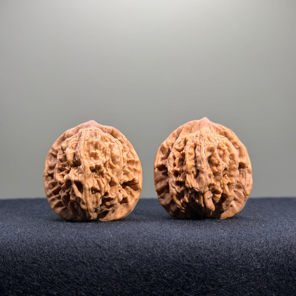 Wheat Ear Tiger Head Wenwan Walnut · 35mm · Natural · Entry Ritual