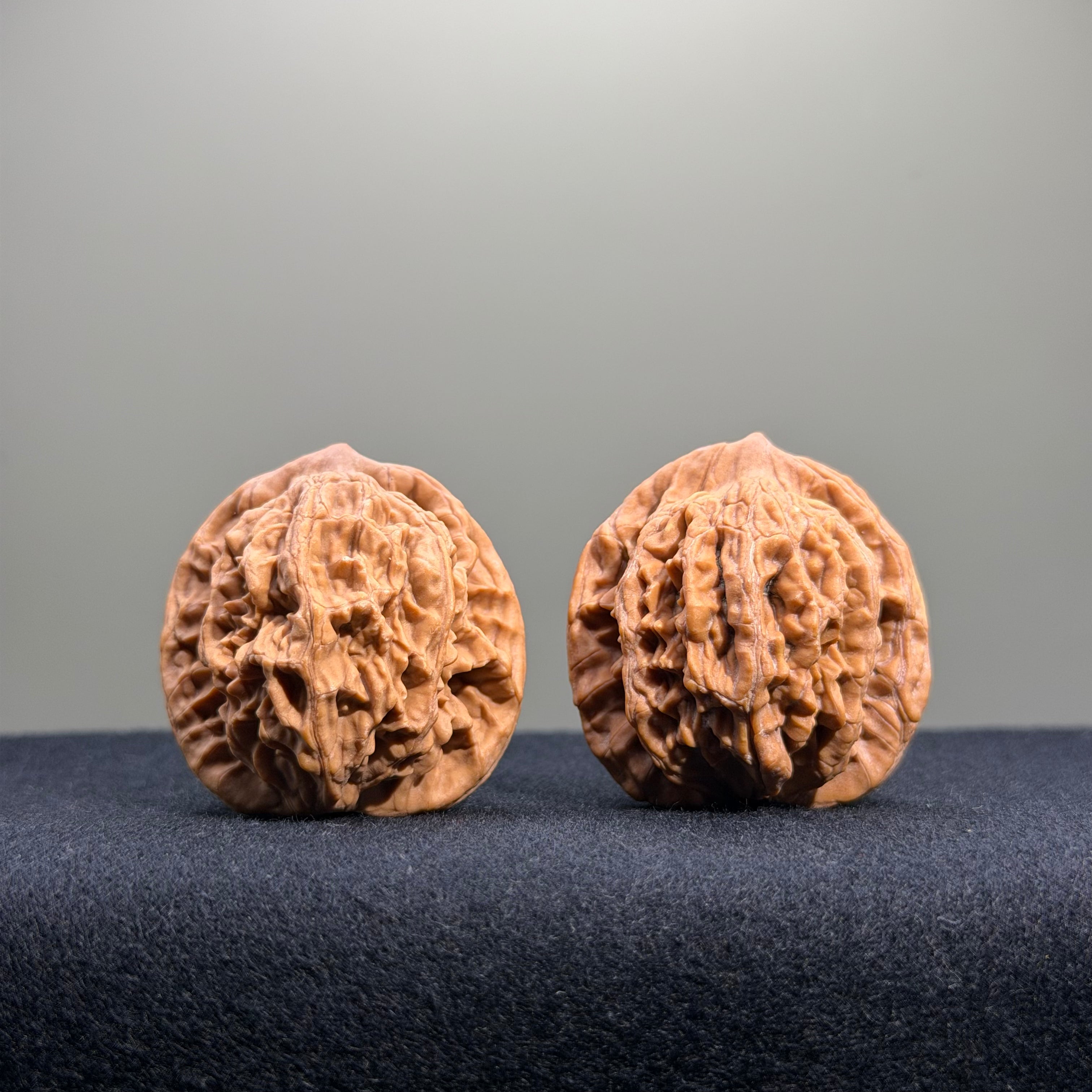 Wheat Ear Tiger Head Wenwan Walnut · 35mm · Natural · Entry Ritual