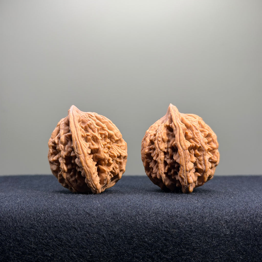 Wheat Ear Tiger Head Wenwan Walnut · 35mm · Natural · Entry Ritual