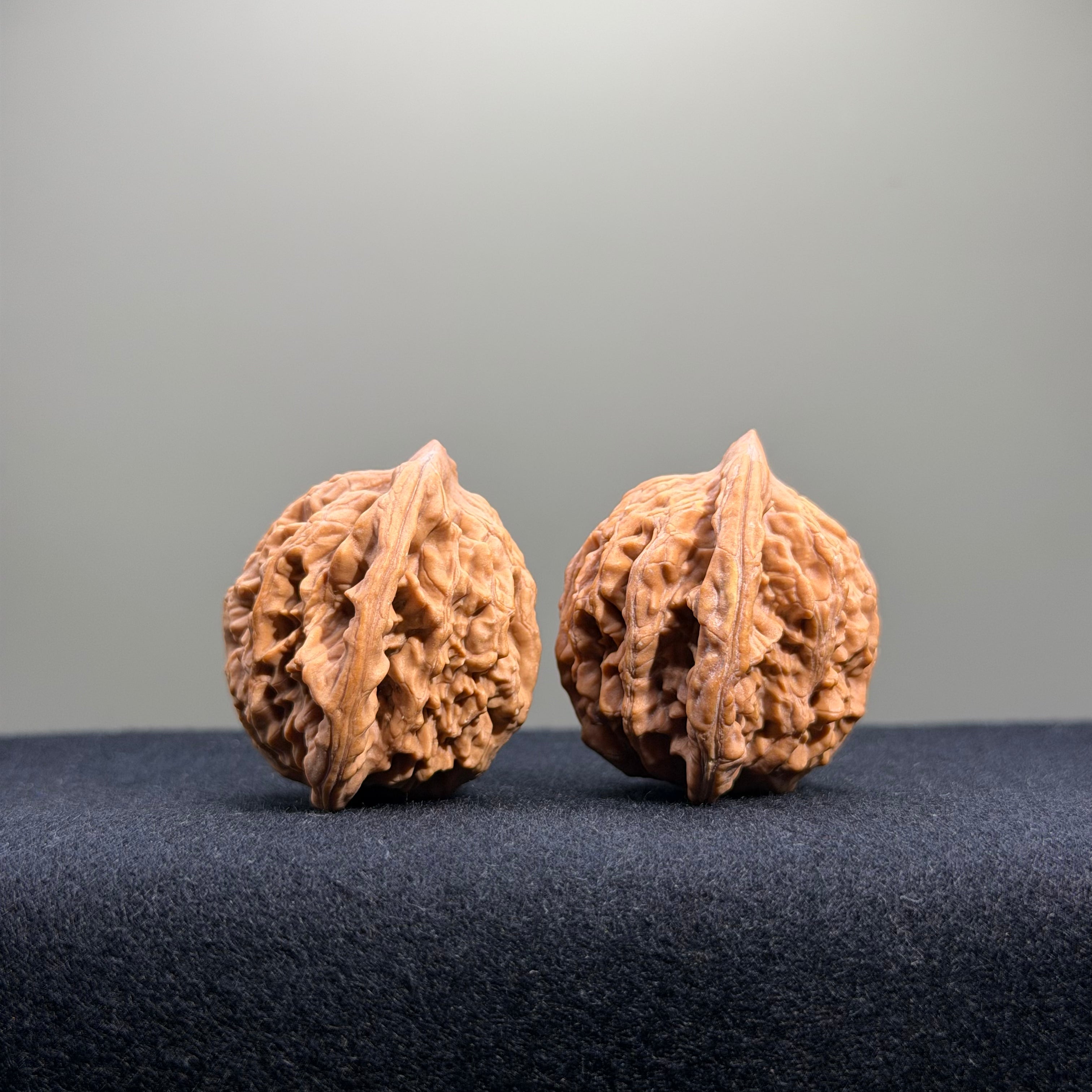 Wheat Ear Tiger Head Wenwan Walnut · 35mm · Natural · Entry Ritual