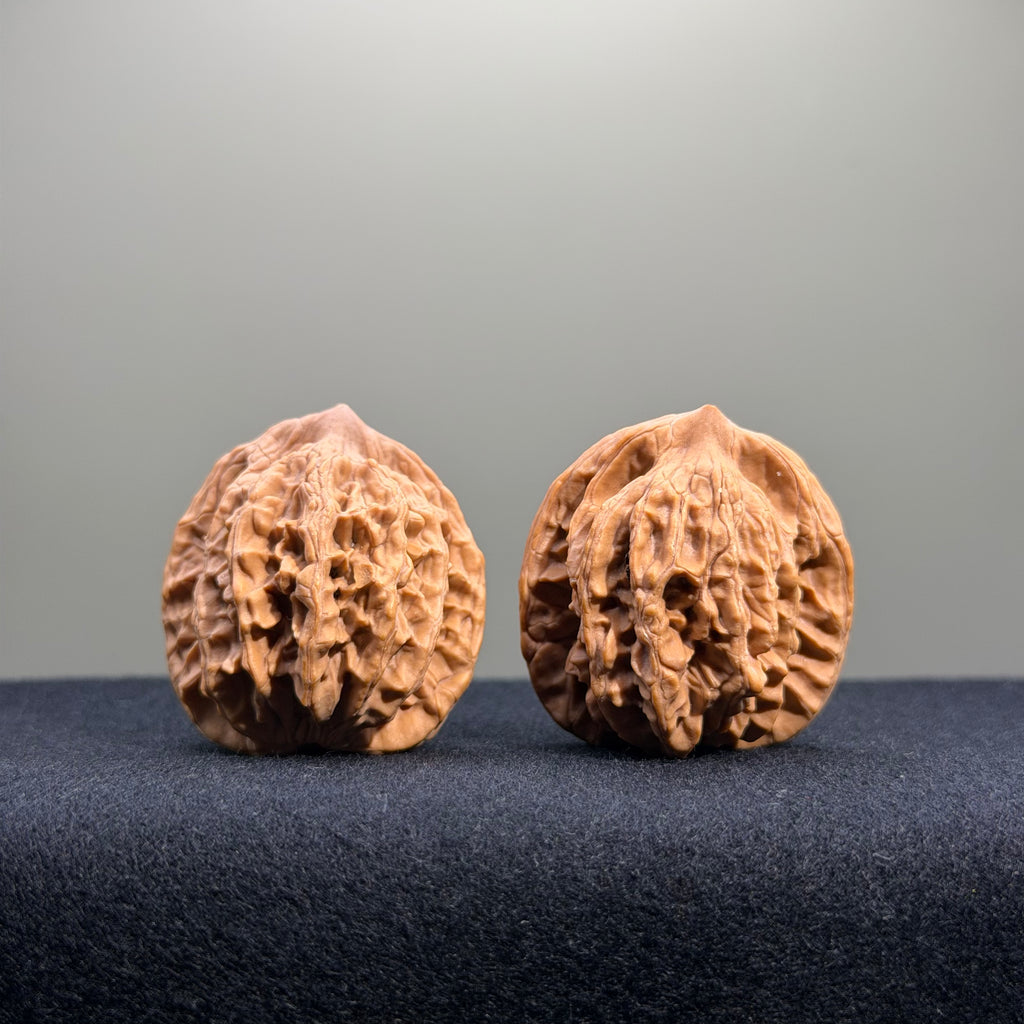 Wheat Ear Tiger Head Wenwan Walnut · 35mm · Natural · Entry Ritual