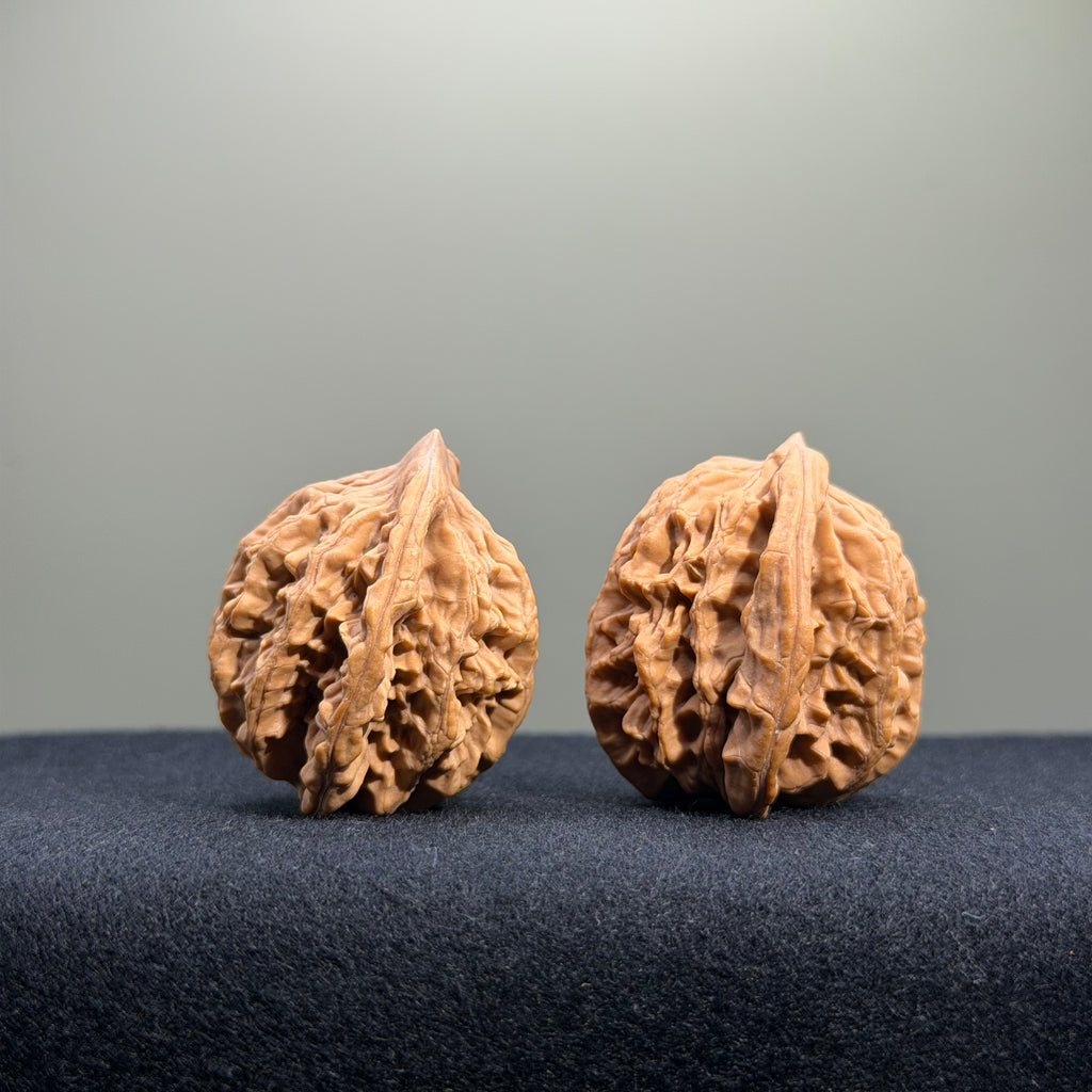 Wheat Ear Tiger Head Wenwan Walnut · 35mm · Natural · Entry Ritual
