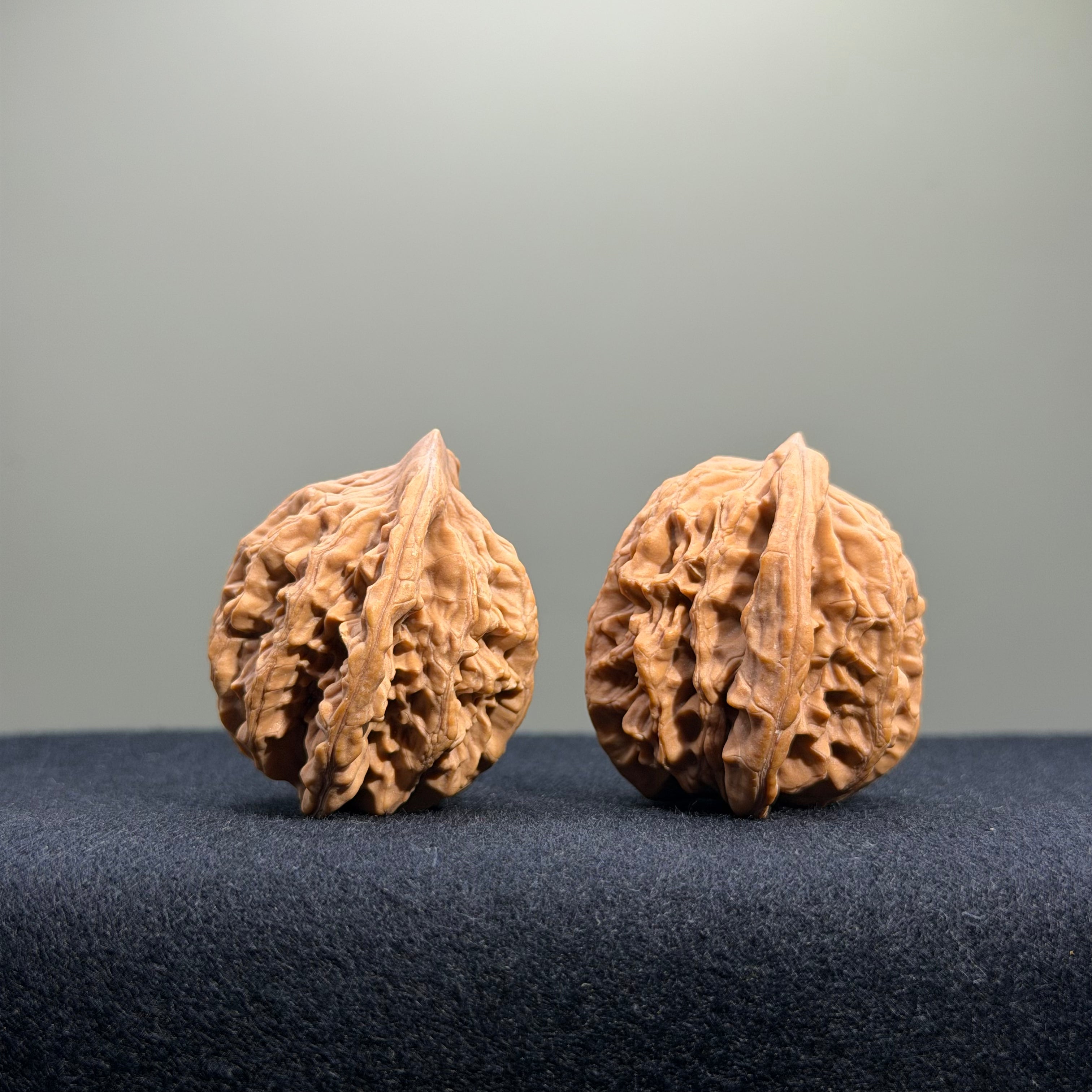 Wheat Ear Tiger Head Wenwan Walnut · 35mm · Natural · Entry Ritual