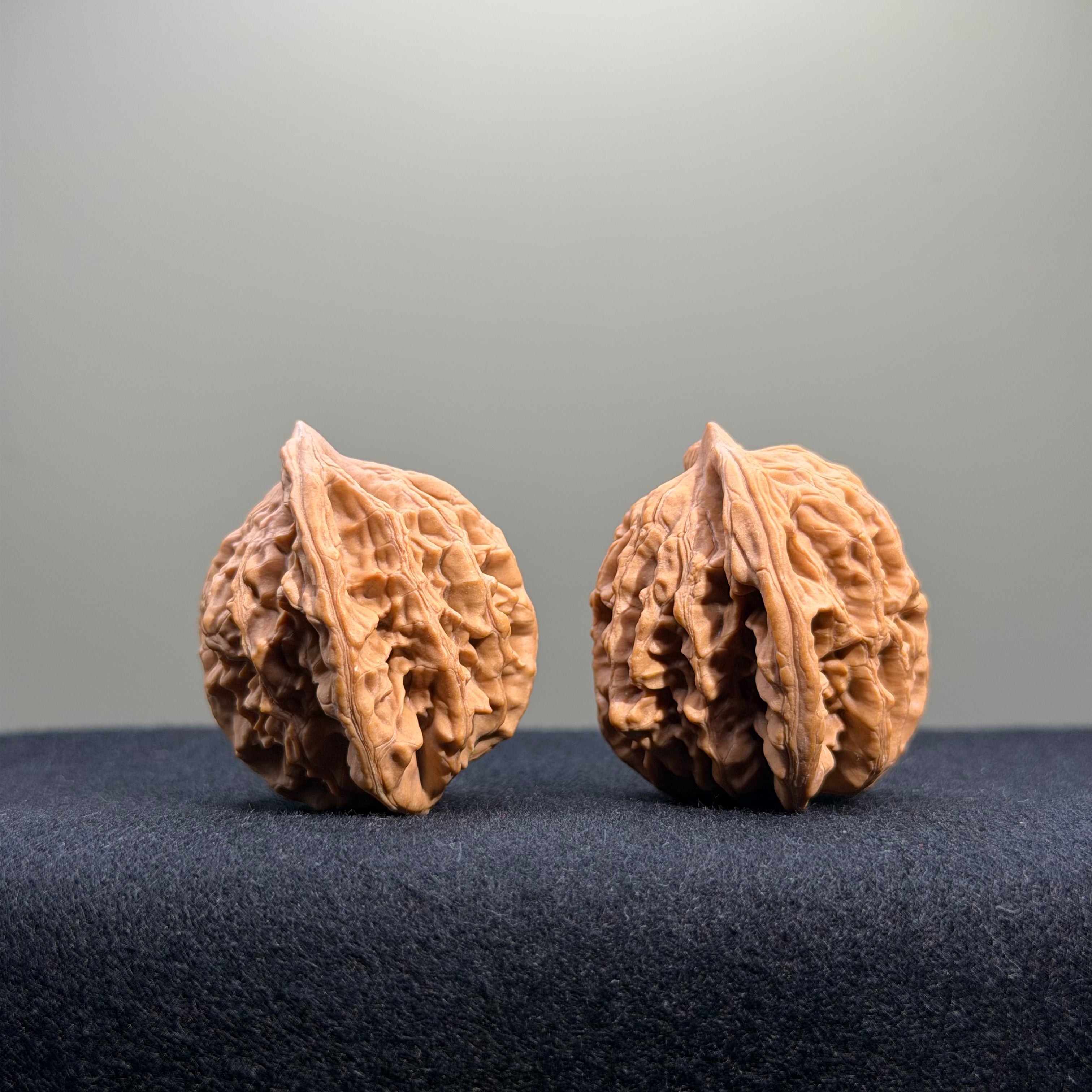 Wheat Ear Tiger Head Wenwan Walnut · 35mm · Natural · Entry Ritual