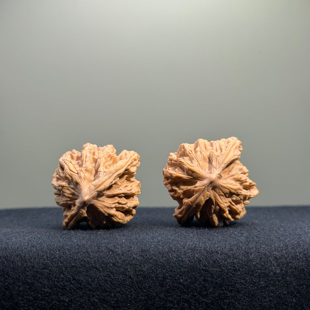 Wheat Ear Tiger Head Wenwan Walnut · 35mm · Natural · Entry Ritual