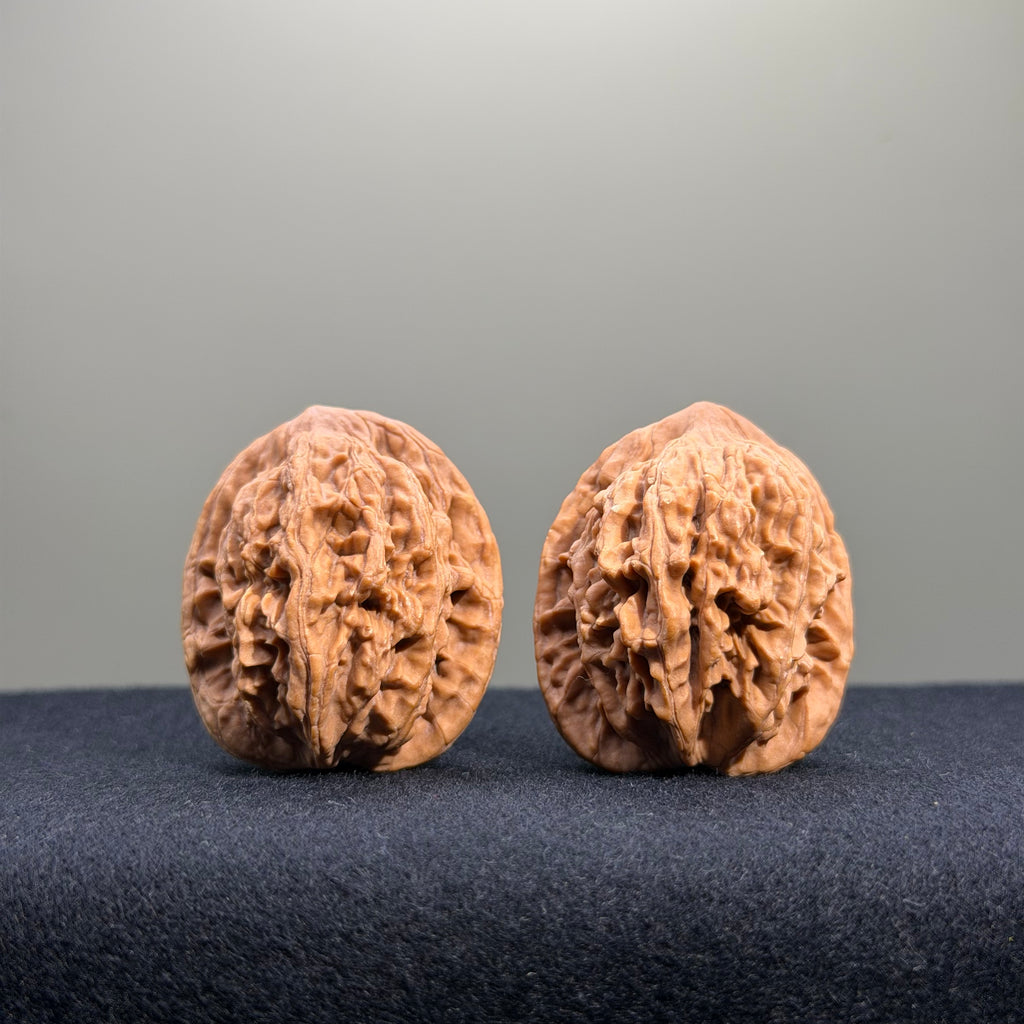 Wheat Ear Tiger Head Wenwan Walnut · 32mm · Natural · Entry Ritual