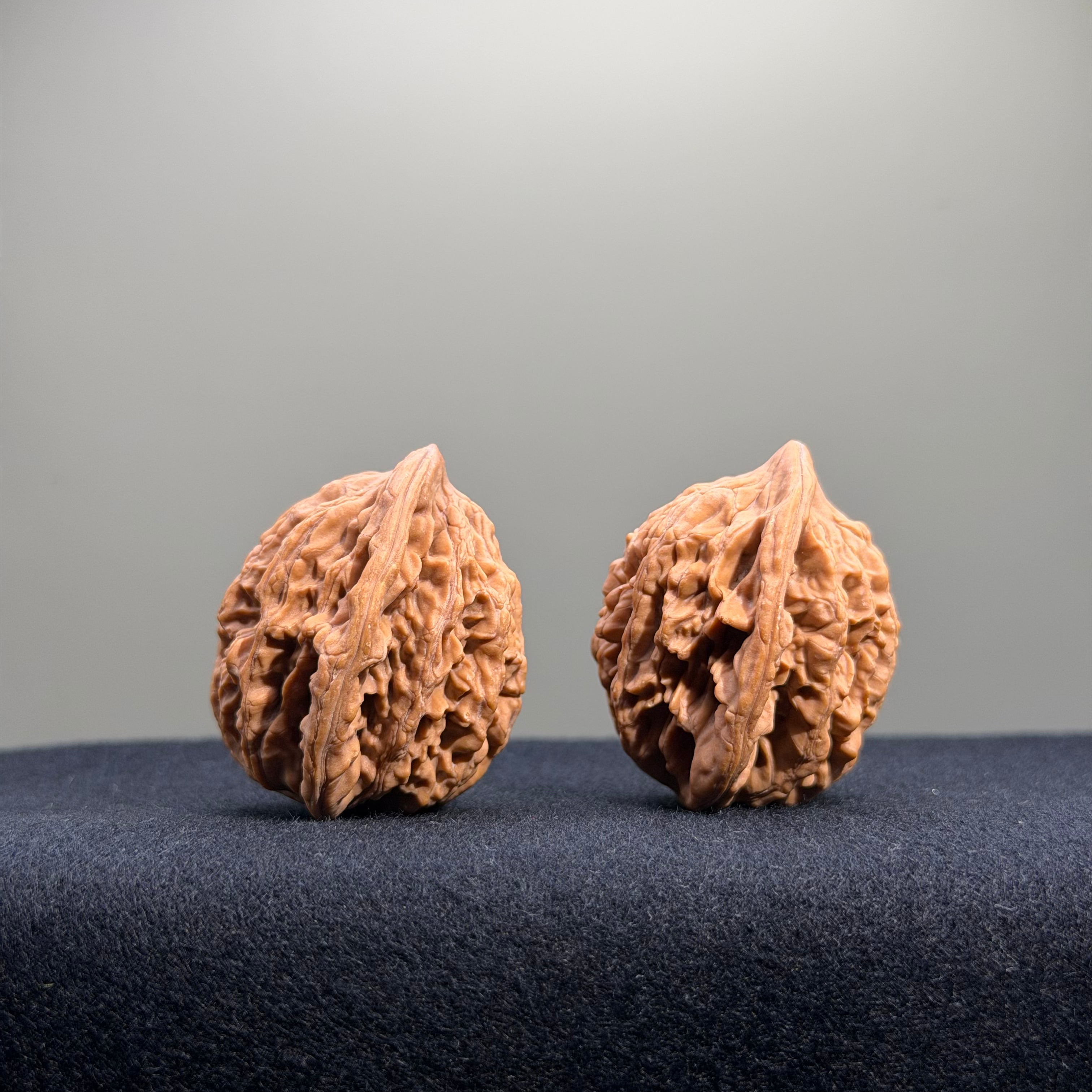 Wheat Ear Tiger Head Wenwan Walnut · 32mm · Natural · Entry Ritual
