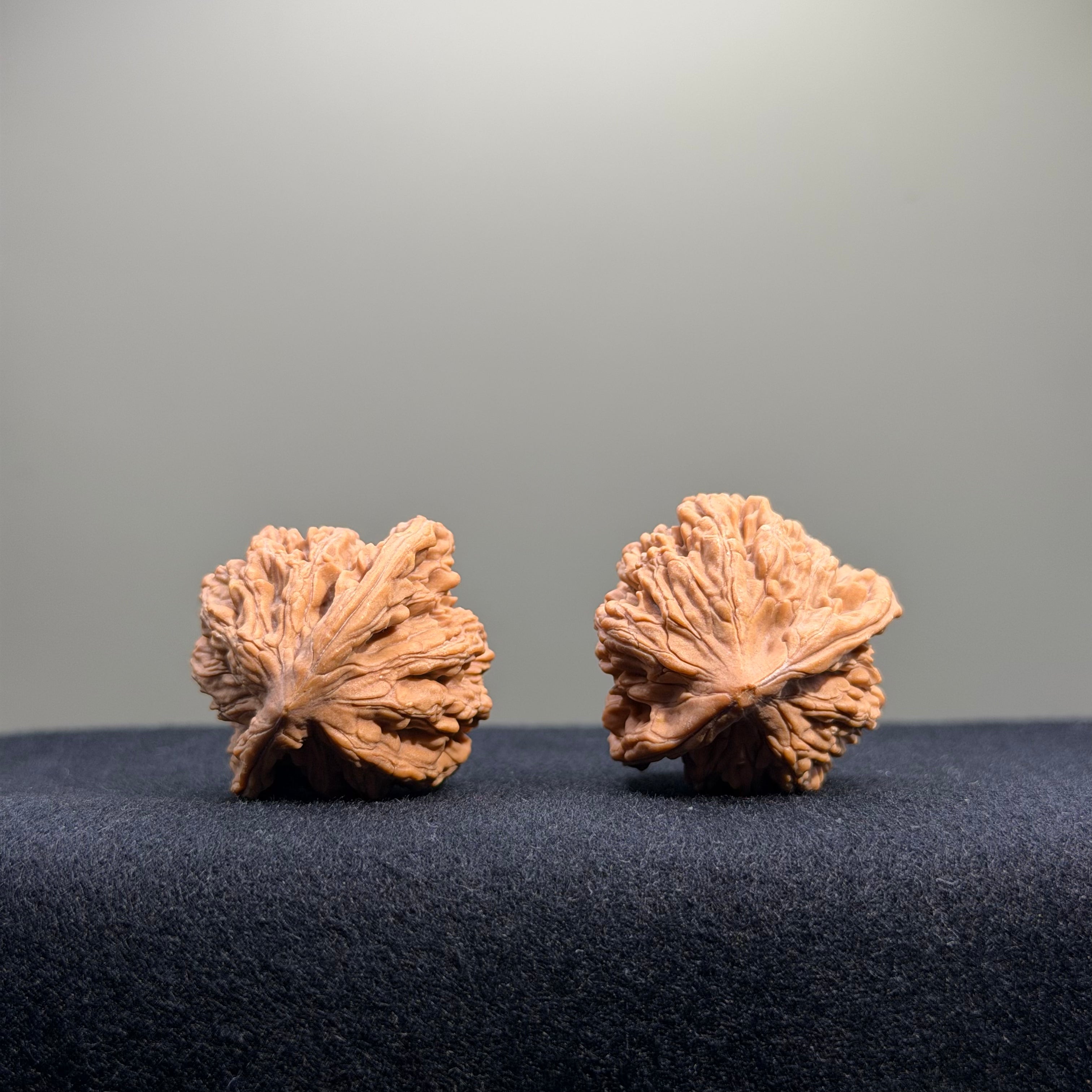Wheat Ear Tiger Head Wenwan Walnut · 32mm · Natural · Entry Ritual