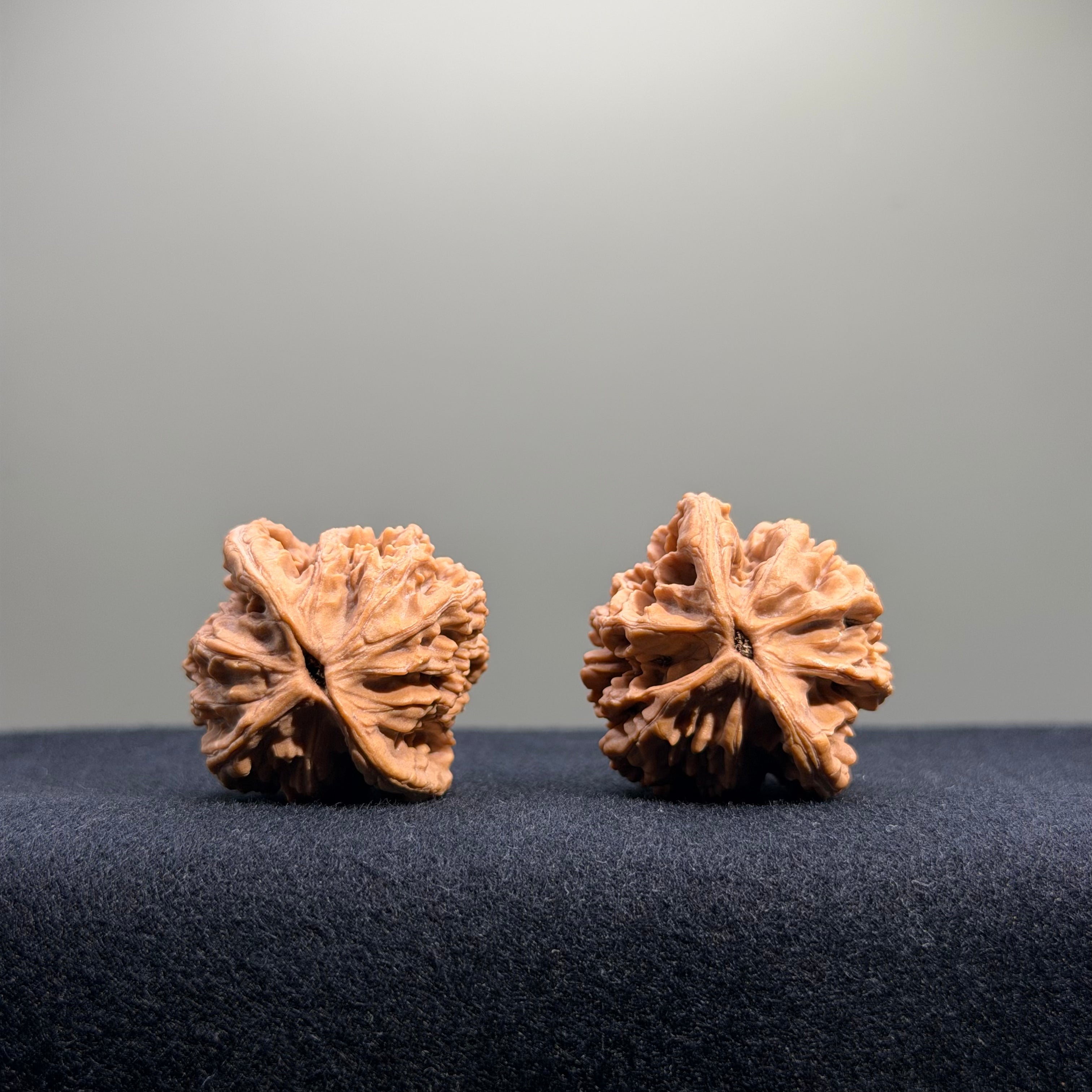 Wheat Ear Tiger Head Wenwan Walnut · 32mm · Natural · Entry Ritual