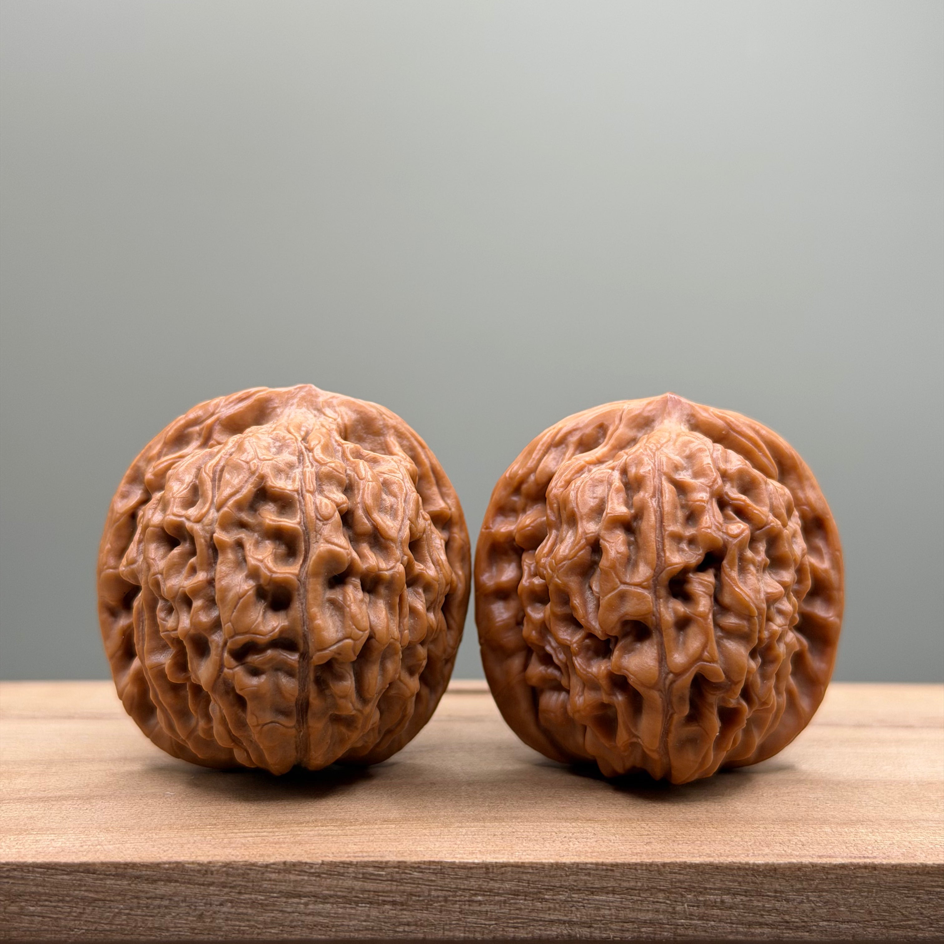 Lotus Tiger Head Walnut