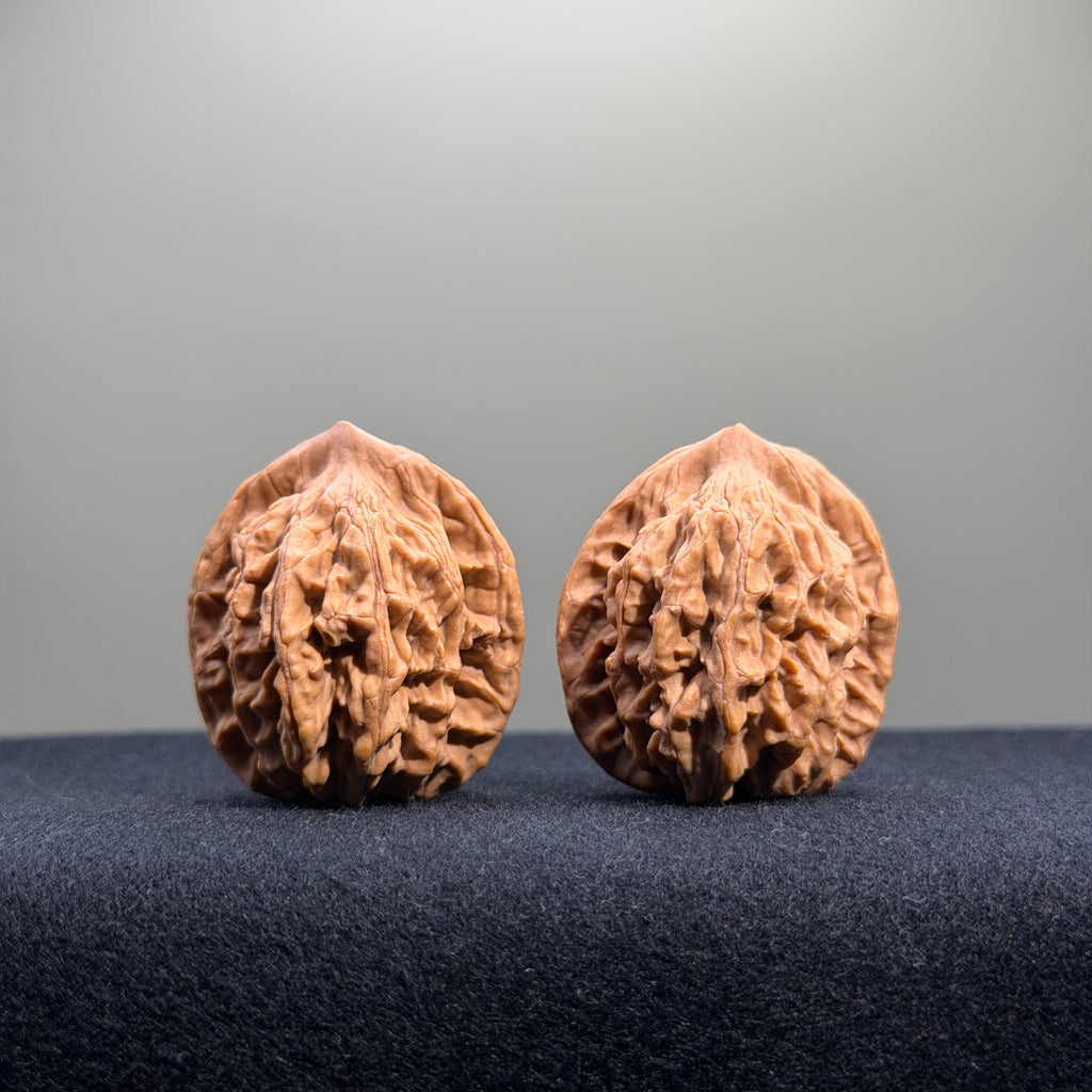 Wheat Ear Tiger Head Wenwan Walnut · 32mm · Natural · Entry Ritual