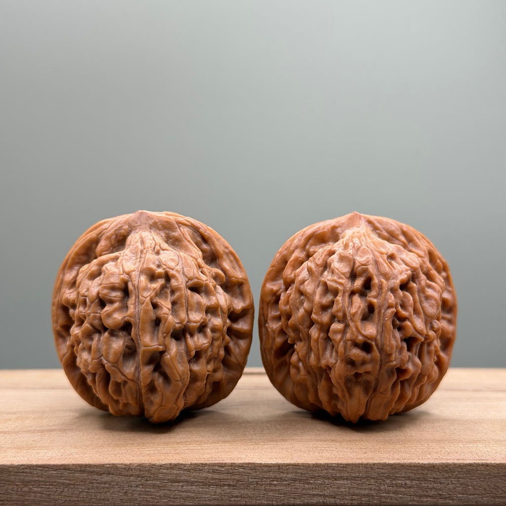 Lotus Tiger Head Walnut