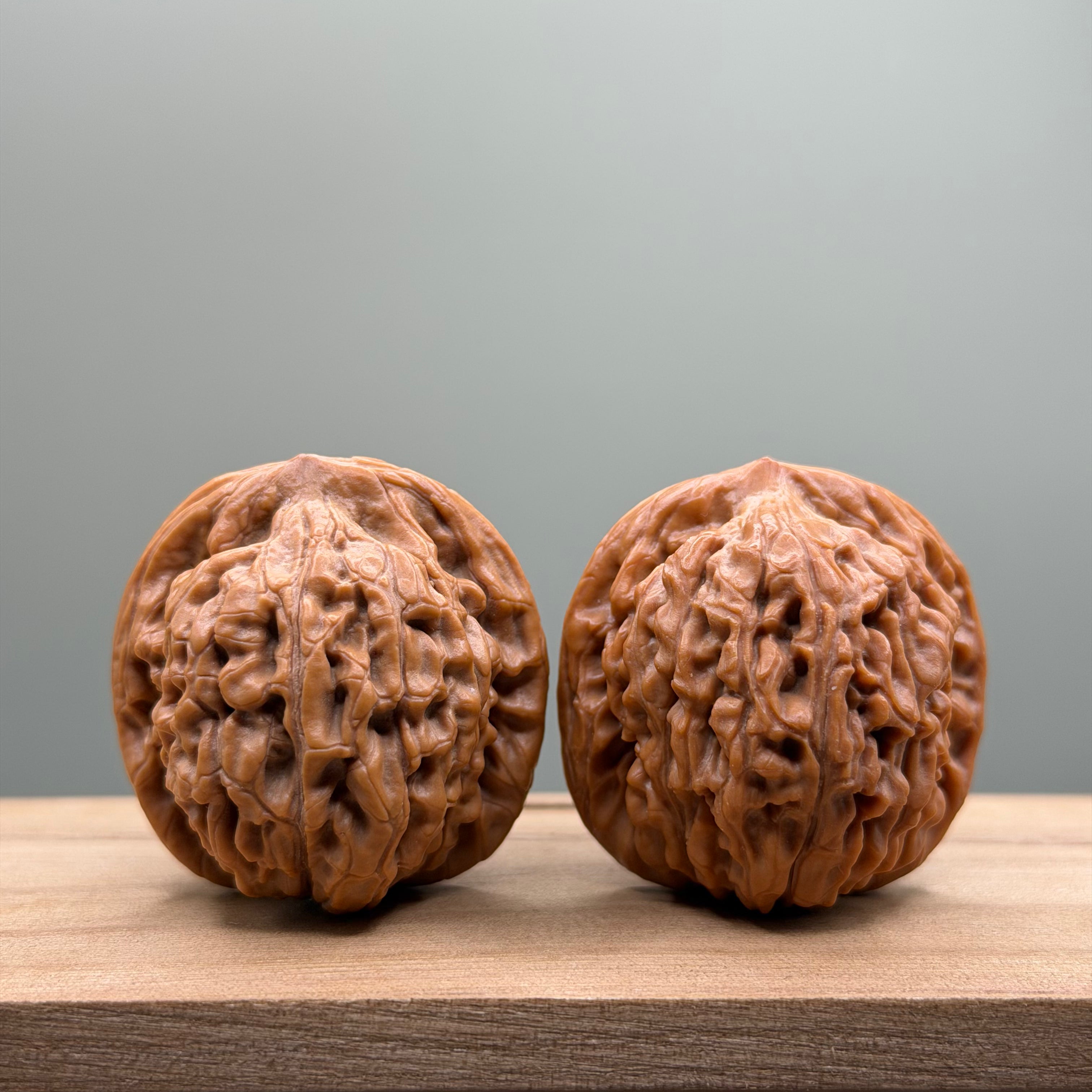 Lotus Tiger Head Walnut