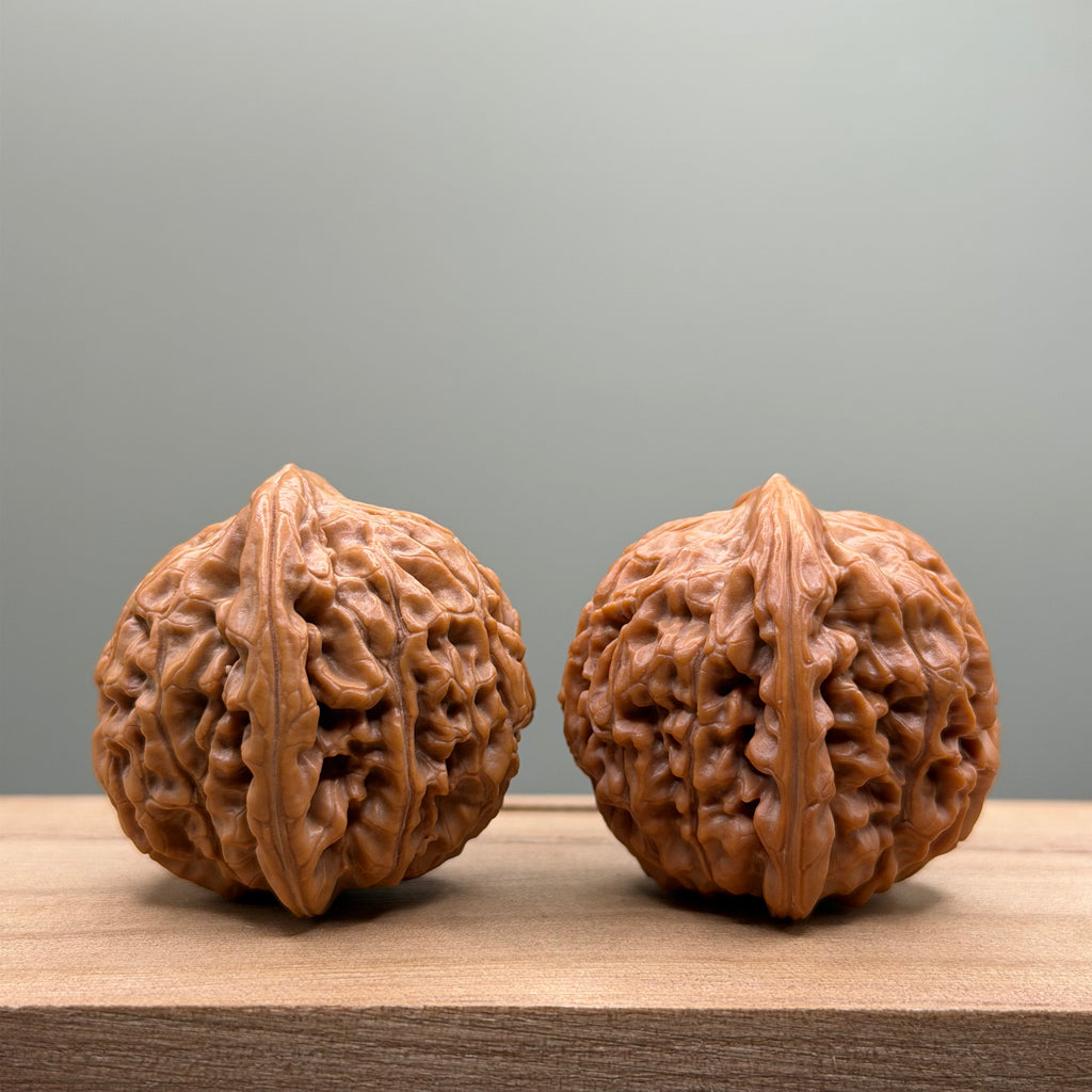 Lotus Tiger Head Walnut