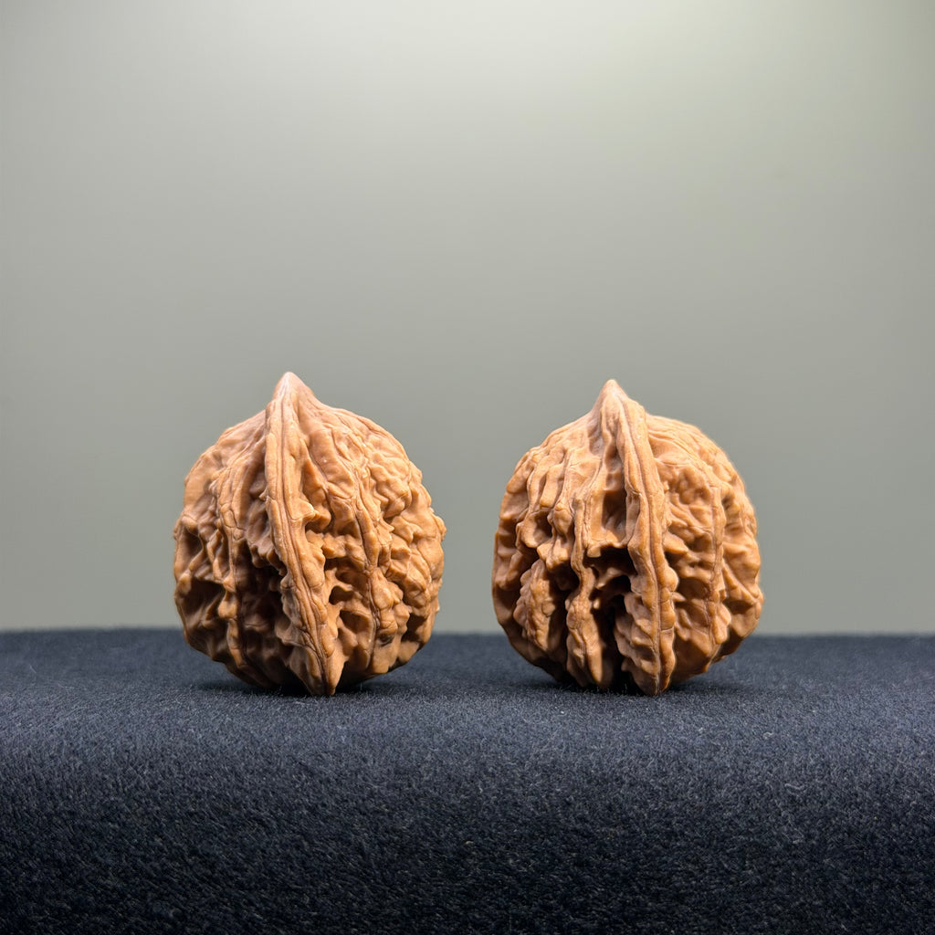 Wheat Ear Tiger Head Wenwan Walnut · 32mm · Natural · Entry Ritual