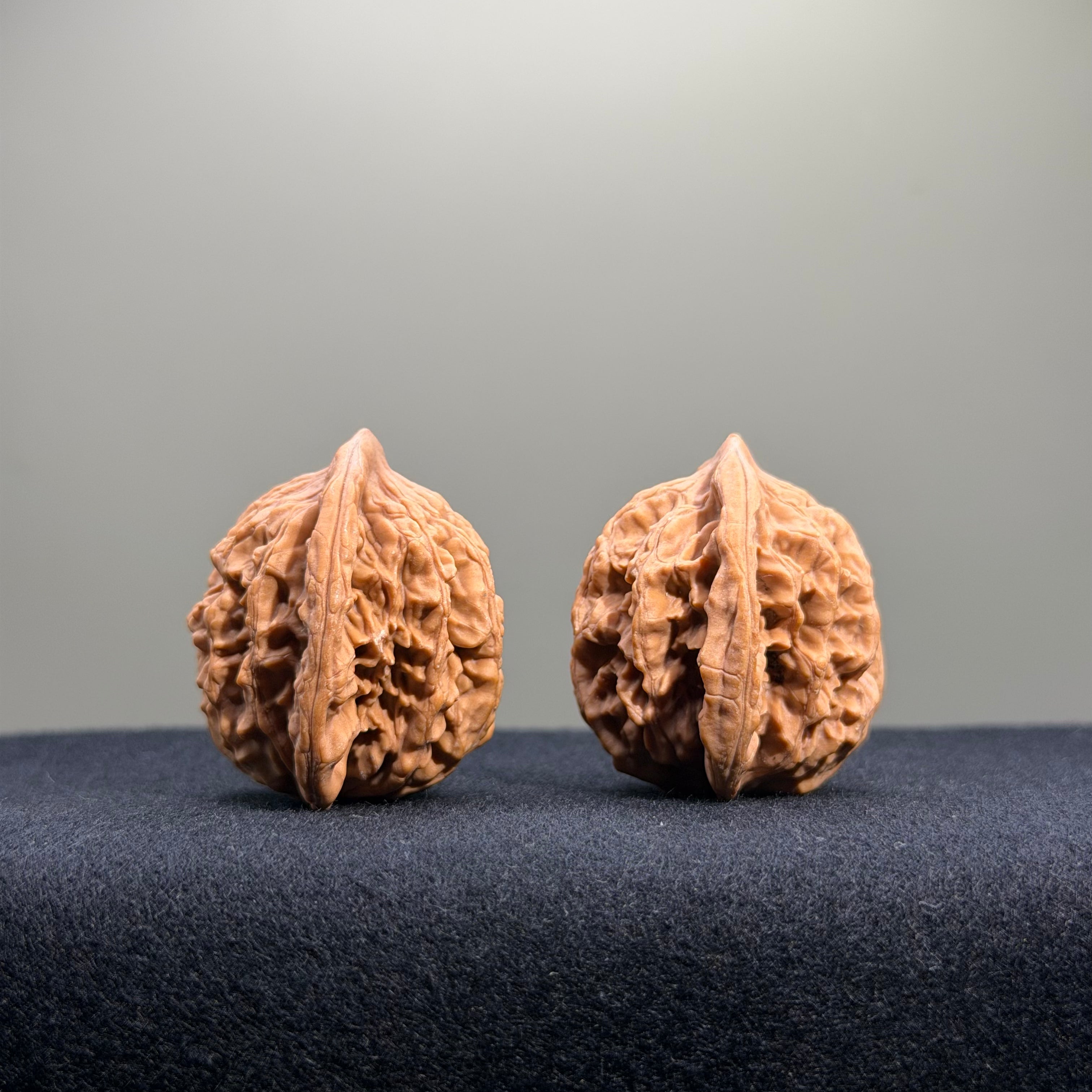 Wheat Ear Tiger Head Wenwan Walnut · 32mm · Natural · Entry Ritual