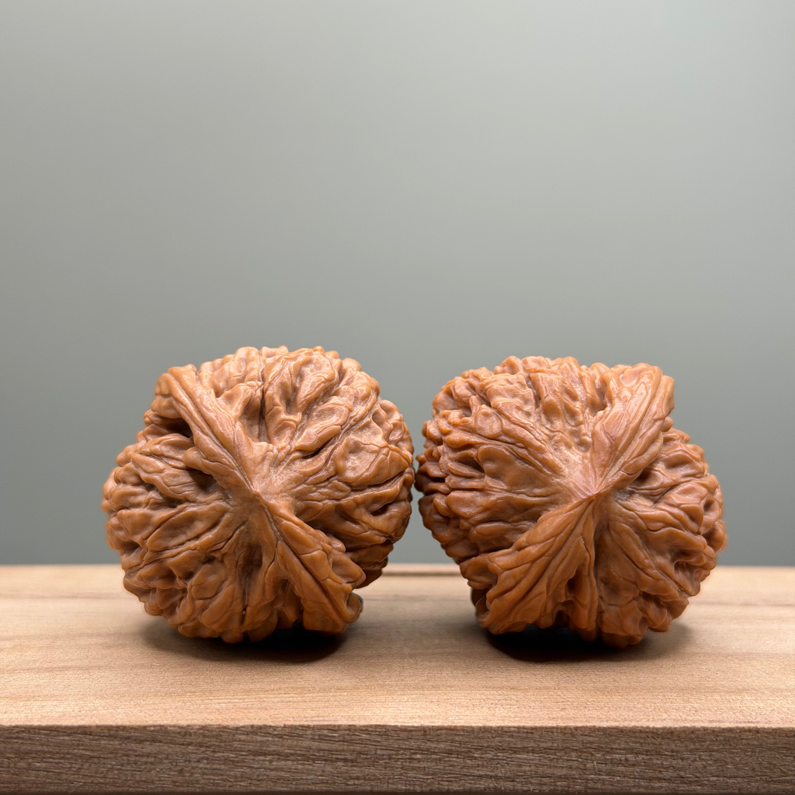 Lotus Tiger Head Walnut