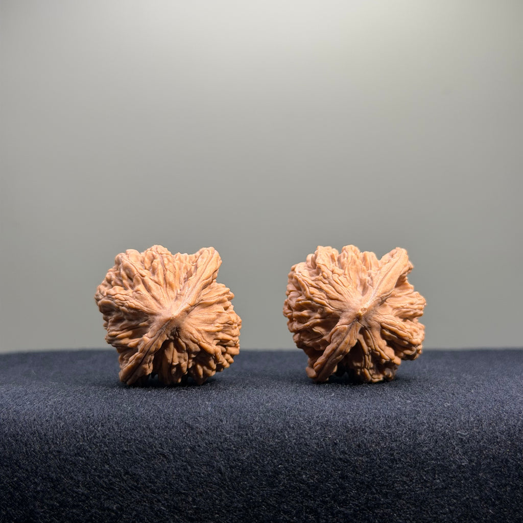 Wheat Ear Tiger Head Wenwan Walnut · 32mm · Natural · Entry Ritual